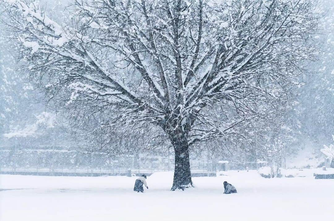 岩倉しおりのインスタグラム：「雪遊び。」