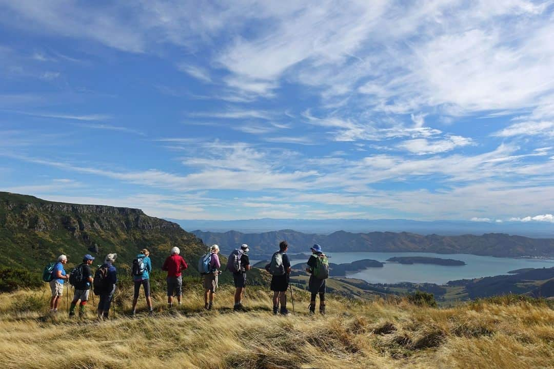 マックパックのインスタグラム：「Today, we’re celebrating International Mountain Day, focused on restoring mountain ecosystems, with a project close to home.   Te Ahu Pātiki is 500 hectares of newly created public conservation land, including the summits of Te Ahu Pātiki/Mt Herbert and Mt Bradley, the two highest points in the Ōtautahi/Christchurch district, Aotearoa/NewZealand - the home of Macpac. The Macpac-supported project is facilitating the natural regeneration of native forests from a landscape that was mainly gorse. The ultimate goal of Te Ahu Pātiki is the complete restoration of the park’s indigenous flora and fauna to bring the Maunga back to its inherent natural state. The significant area holds the peninsula’s highest wetlands and a range of plant and invertebrate species that are unique to the site. A connection to existing protected land also means there will be conservation land from the summits to the sea.  Te Ahu Pātiki Charitable Trust was a Macpac Fund for Good recipient – our way of giving back to non-profit organisations whose core focus is a long-term positive impact. When you refuse a bag in the store, we donate $0.20 to the Fund for Good, and these are the sorts of projects the fund supports.   The restoration project, which also guarantees public access to the network of walking tracks, is visible from Ōtautahi’s port hills.」