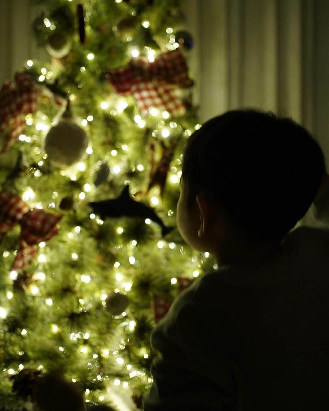 rinさんのインスタグラム写真 - (rinInstagram)「⁡ ⁡ ⁡ 我が家のツリーには🦈やシャチがいる。 ⁡ 何故なら🦈大好き君が飾ったから ⁡ ⁡ 斬新でいいね🎄🎅 ⁡ ⁡ ⁡かんちゃんのおかげで今まで思いつきも しなかった世界観が見れて毎日楽しい💫 ⁡ ⁡ ⁡ ⁡ ⁡ ⁡ ⁡ #Christmas#Christmastree#christmasdecor #クリスマスツリー#クリスマス」12月11日 17時18分 - rinrin87