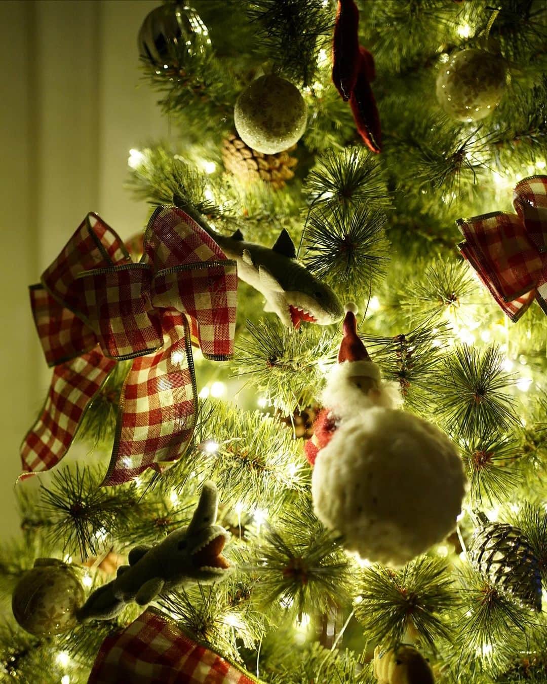 rinさんのインスタグラム写真 - (rinInstagram)「⁡ ⁡ ⁡ 我が家のツリーには🦈やシャチがいる。 ⁡ 何故なら🦈大好き君が飾ったから ⁡ ⁡ 斬新でいいね🎄🎅 ⁡ ⁡ ⁡かんちゃんのおかげで今まで思いつきも しなかった世界観が見れて毎日楽しい💫 ⁡ ⁡ ⁡ ⁡ ⁡ ⁡ ⁡ #Christmas#Christmastree#christmasdecor #クリスマスツリー#クリスマス」12月11日 17時18分 - rinrin87