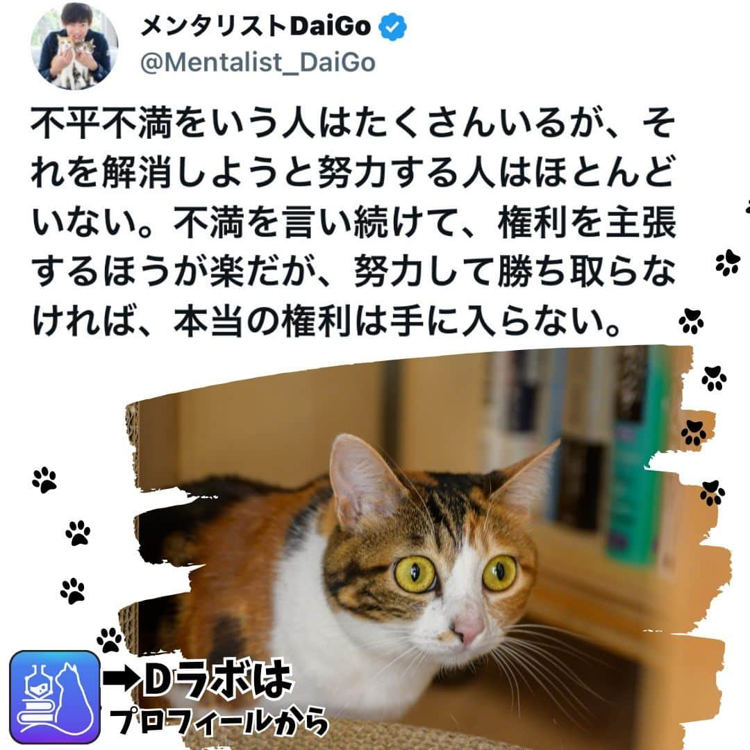 メンタリストDaiGoのインスタグラム：「🐈本日の名言📚 プロフィールからDラボもみてね  #心理学 #メンタリスト #dラボ  #dラボはプロフィールから」