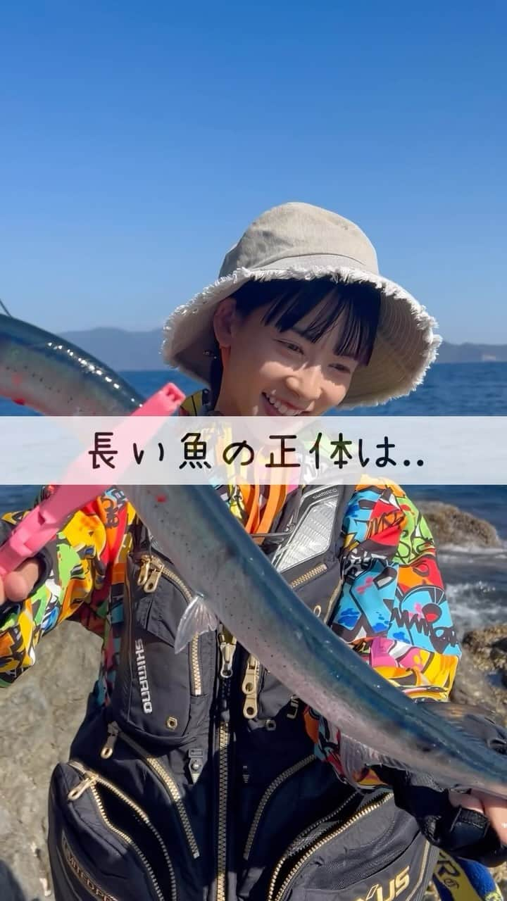 阪本智子のインスタグラム：「🎣♡  磯釣り大会で長いの釣れました😆  検量に出したら１位とれるよね🥇笑  水温が暖かいから今の時期でも釣れるみたいです！🐉  釣りビジョンを観てくださった皆さん ありがとうございました！  見逃した方は、釣りビジョンの公式YouTubeで見られるのでぜひ🤍  #ダツ #磯釣り #フカセ釣り #釣り女子 #阪本智子」