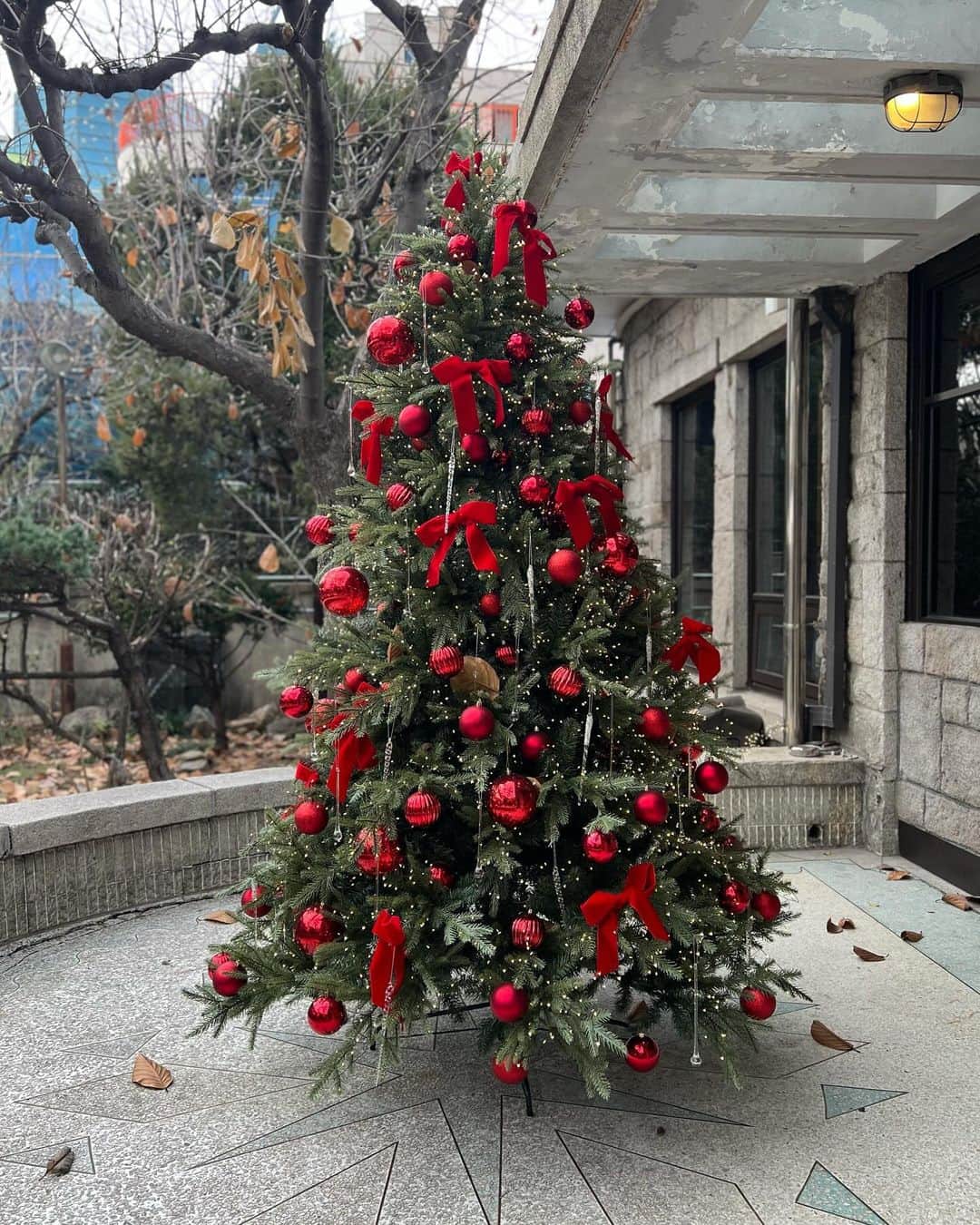 zussaさんのインスタグラム写真 - (zussaInstagram)「載せてなかったやつ🇰🇷❤️刺激受けまくりな韓国旅でした。」12月11日 18時16分 - niwatorigoya