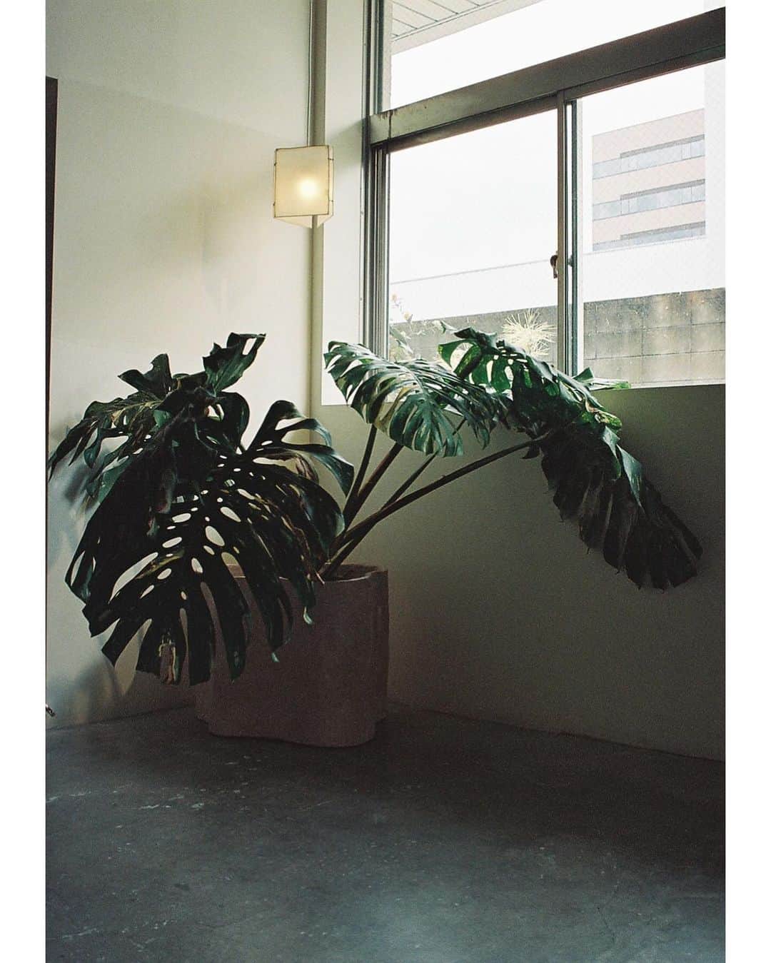 惟本康明 / yasuaki yoshimotoさんのインスタグラム写真 - (惟本康明 / yasuaki yoshimotoInstagram)「半年以上の制作期間を設けた展示は本日無事終了しました。  個人としての作品展は初めての試みでしたが、たくさんの方に支えられていたことを実感できて幸せです。  足を運んでくださった方、遠くから応援してくださった方、このような機会と場を提供してくださったBlumoに感謝申し上げます。  楽しかったー！  📸:@blumo_  #interior #artwork #pot #walllamp #design #interiordesign #contemporarydesign  #インテリア #鉢 #ウォールランプ」12月11日 19時02分 - md2v