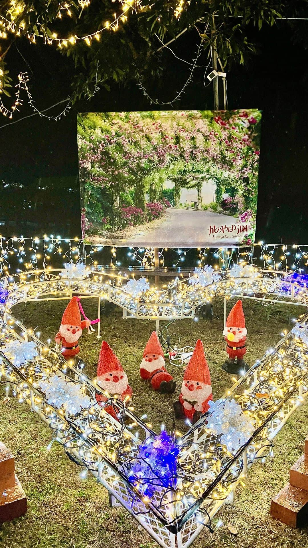 鳥越佳那のインスタグラム：「【クリスマスファンタジーナイト2023in霧島ヶ丘公園】  今日からスタート🎄✨  今年は 新スポットが誕生したと聞いて... 初日に ゲリラライブやってみました✨✨  \\光のトンネル// 約20万球の光に癒されましたよ〜🥰  16日(土) 23日(土) 24日(日) は花火も上がります🎇楽しみ〜っ✨  ぜひみなさんも間近でご覧ください🌟  (プライベート投稿)  #鹿児島県 #鹿屋市 #霧島ヶ丘公園 #かのやばら園 #鹿児島イルミネーション #イルミネーション」