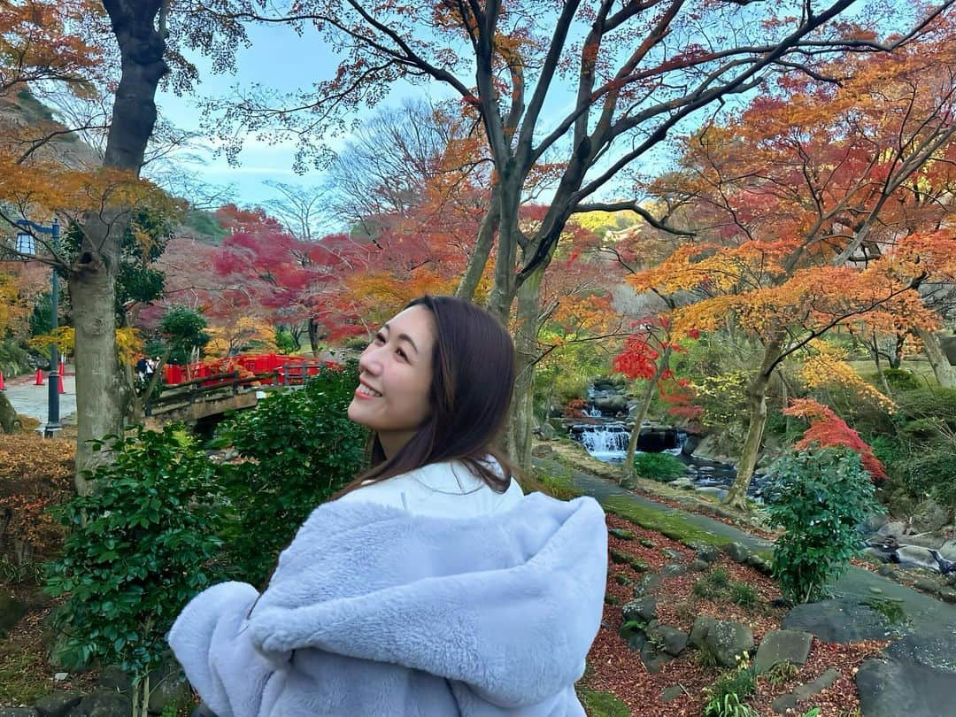 穂川果音のインスタグラム：「紅葉の季節はほぼほぼ終わりですね🍁 今年は暖かかった影響もあり、紅葉の時期かいつもより遅いと感じました！ あとは、夏の暑さで少し葉の大きさが小さいものがあったり、焼けてしまっているものもあり、紅葉の予想が難しかったなぁと感じてます😇  また来年も綺麗な紅葉見にいけますように✨  The season autumn leaves is almost over I hope I can see the autumn leaves next year too✨  #熱海梅園　#japanautumnleaves #紅葉　#japantrip #旅が好き」