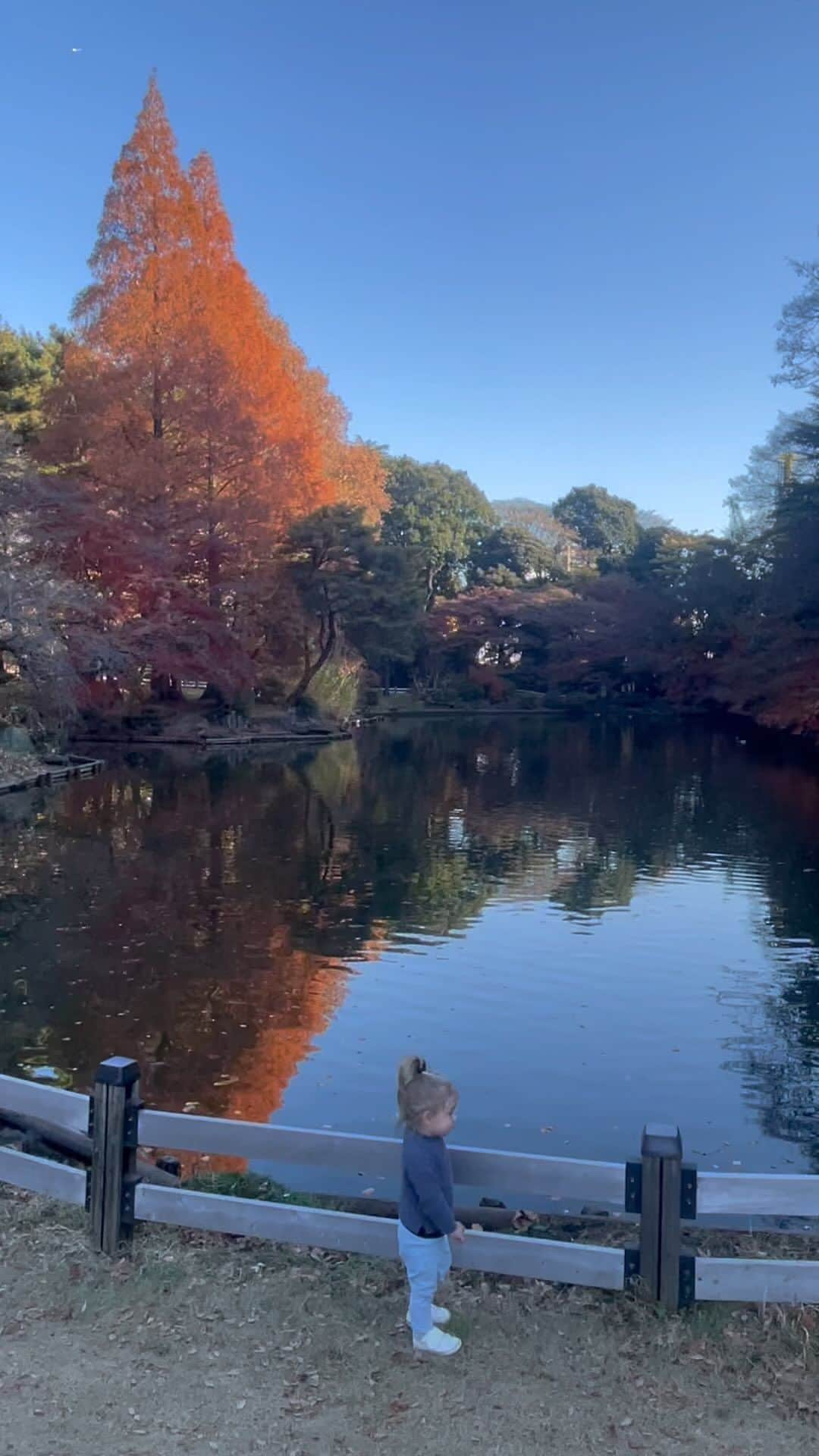 太田エイミーのインスタグラム：「In the center of the metropolis is Shinjuku Gyoen Garden」