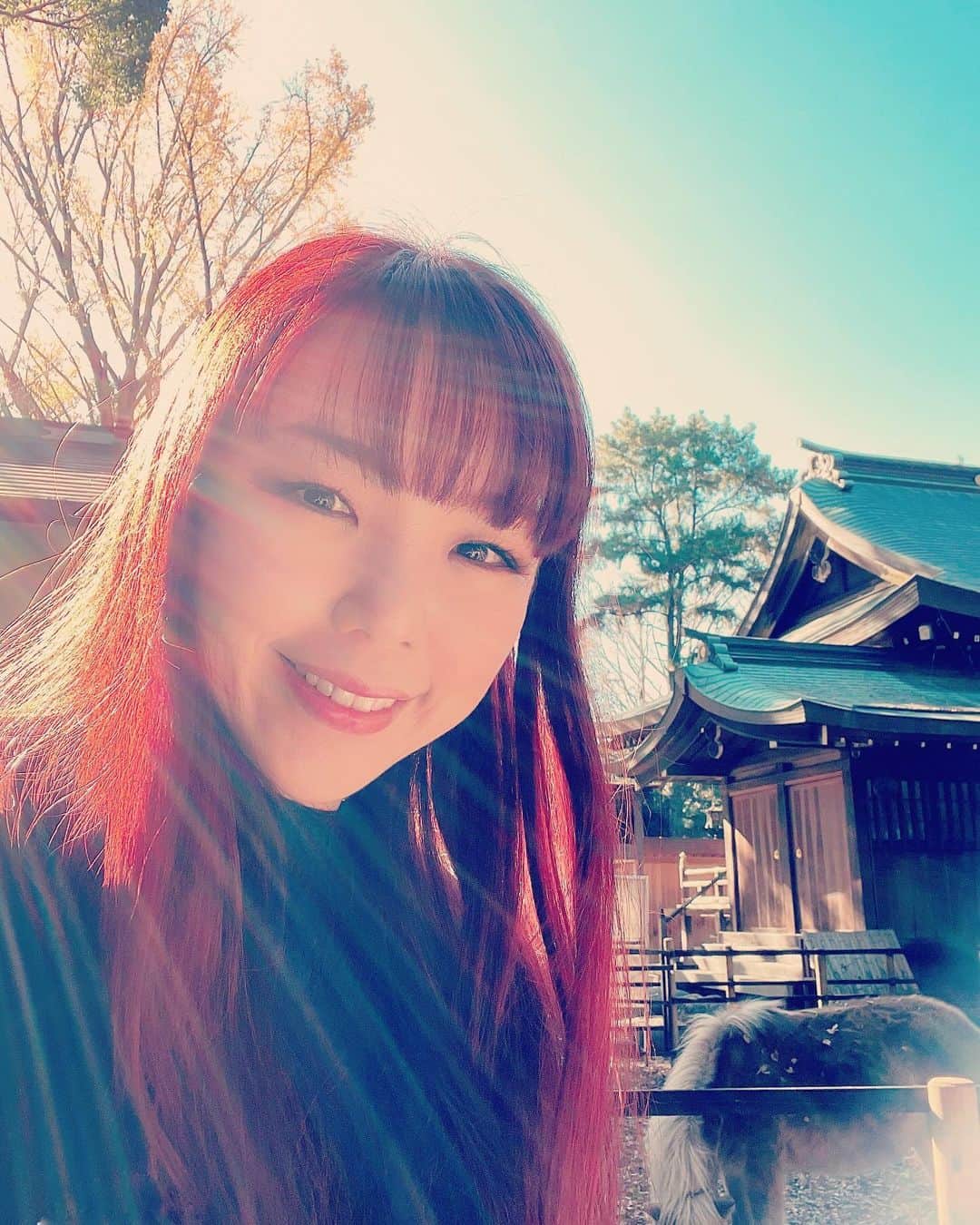 ひぐちしょうこのインスタグラム：「難病の進行性核上性麻痺で４年前から入院している父の12月のお見舞いへ。  （6月に直接面会が解禁にされたのも束の間、9月からまた感染症対策でパーテーション越しの面会に戻ってしまいました。くすん。）  今回も病院に行く前に、母と姉と寄り道。 「父のお見舞い」というイベントだけど、結局毎月母をお出かけに連れて行く「母接待イベント」が裏テーマにあります。笑  初めて平塚八幡宮に行きました。とっても良い場所で癒されました。 そして平塚の名店「洋食エイト」さんへ。お祖父様がはじめた洋食屋さんをお孫さんが継いだようで素敵なお店で美味しかったー！！  そして父のお見舞いはいつも通り、一方的に喋りまくって近況報告15分間。 父は目が開かないし喋れないけど、聞こえているようで父からなんか伝わってくる。お父さん、いつもありがとう。（ほぼ神様）  で、面会が終わって帰るときに病院のロビーにあるアップライトピアノが目に入ってきて。なんか分からないけど、あのピアノを弾かなきゃって思って。後先考えずにすぐ受付で、自分は音楽家なんだけど、あのピアノで小さなコンサートをやらせてもらえませんか？父にピアノを聴かせてあげたいのです、と打診してきた。  そしたら部長さんとすぐミーティングになって。部長さん曰くコロナ前はたまに演奏会などしてきたけど、コロナになってそういうイベントもなくなっていたと。そろそろ再開させようかと丁度考えていたところなので是非お願いしますと快諾いただきました。  ということで来月に病院でミニライブすることになりました。わー言っちゃったー。 セットリストどうしようかなー♪ ピアノの練習しなきゃ！」