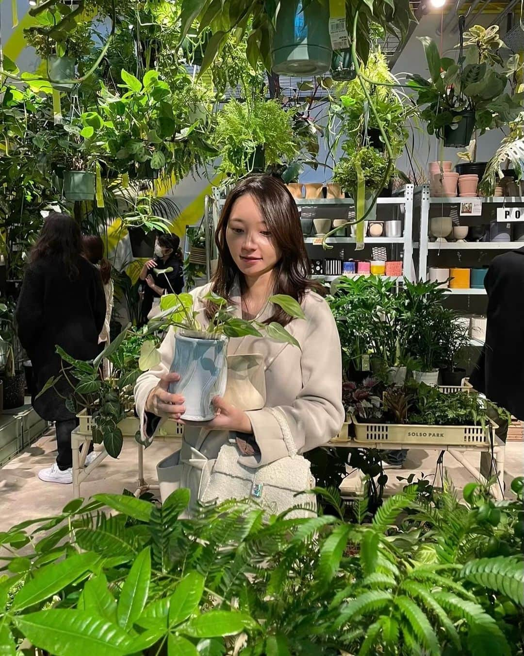 竹崎由佳さんのインスタグラム写真 - (竹崎由佳Instagram)「. 初めての観葉植物をゲット🪴 植木鉢とグリーンの組み合わせをあれこれ考えていたら、あっという間に1時間半経っていました...！ 結局パッと目についてときめいたフィロデンドロン・シルバーメタルに決定✨（名前絶対覚えられへん🤷‍♀️）  部屋の中に緑、もっと増やしたくなってきたー！！」12月11日 21時34分 - yuka__takezaki