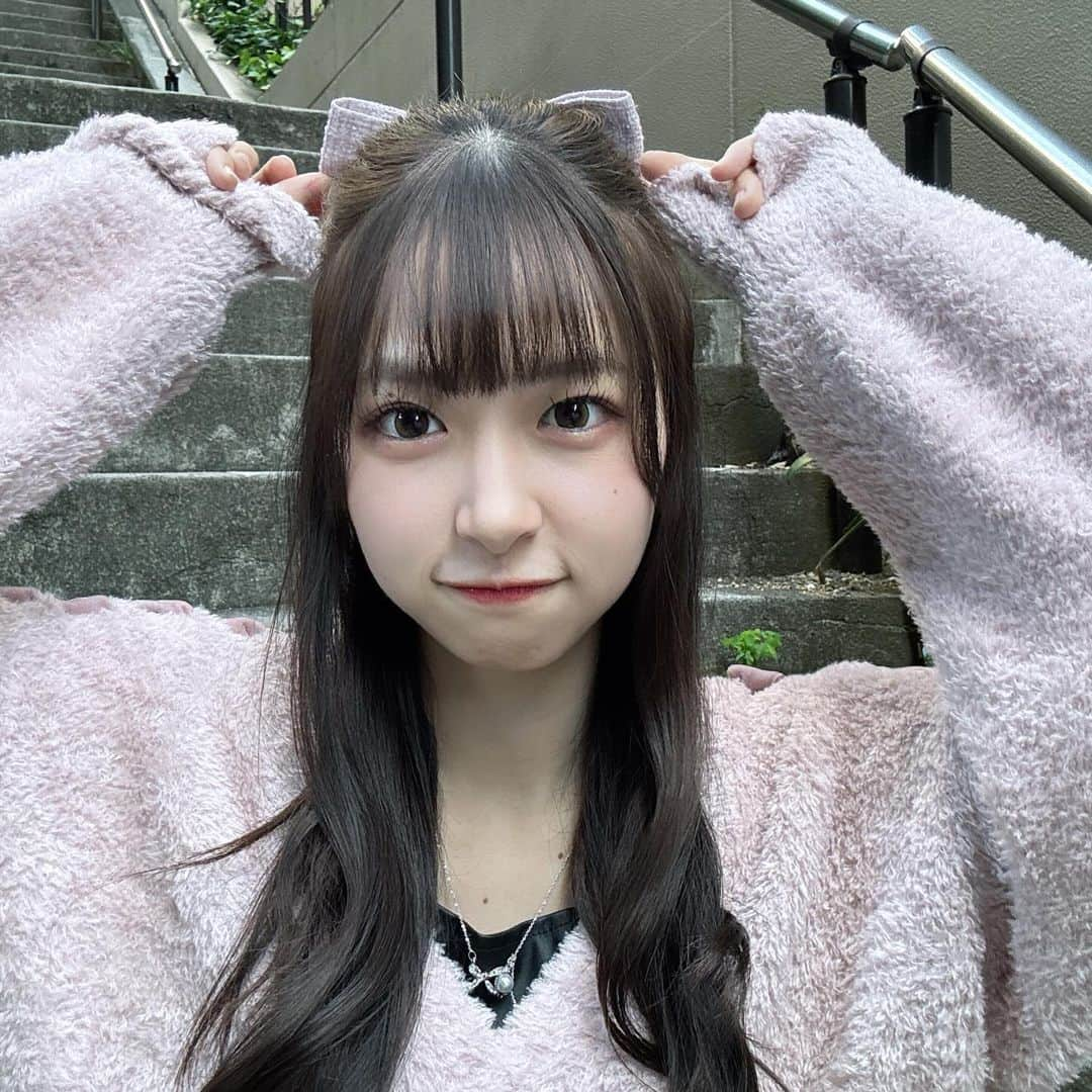 橋本陽菜さんのインスタグラム写真 - (橋本陽菜Instagram)「🎀 * #アイドルなんかじゃなかったら  2023年ラスト #オンラインお話会 ありがとうございました🤍 ジャケ写のゆいゆいの髪型を意識して デカリボンとハーフアップにしてみました😊 頭の上から猫耳みたいに出すのがんばった🐱 2023年ラストは握手会🤝楽しみ🙋‍♀️ 2024年のオンラインお話会もよろしくお願いします💓 * #pyonstagram  #AKB48 #アイドル#富山 #富山県 #はるpyon #橋本陽菜#圧倒的橋本陽菜 #橋本陽菜を広める」12月11日 21時46分 - 48pyonz_toyama