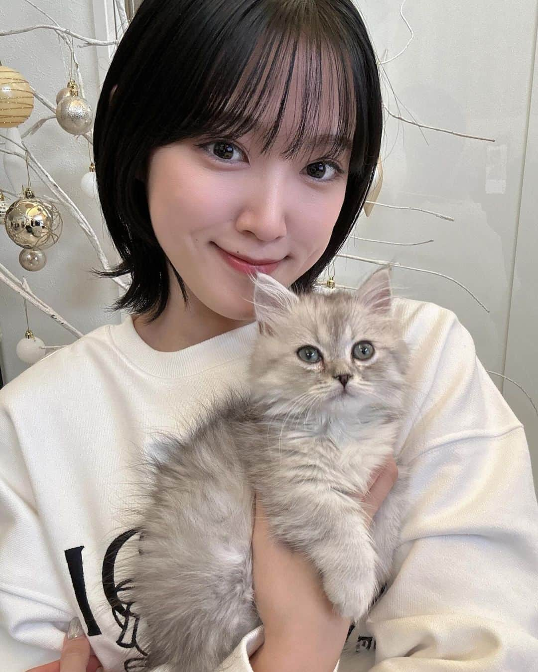 小関舞さんのインスタグラム写真 - (小関舞Instagram)「. 小関家に新しい猫ちゃんがやって来ました！🫶🏻  ミヌエットの男の子 "ライト"くんです⚾️  すごーく元気でやんちゃで、あとあんよが短くて可愛いの🥲 これからこのインスタにもたくさん登場すると思います！  ライトくん！これからよろしくネ〜！！🩵🩵  #新しい家族  #ミヌエット #猫 #子猫  #ライト くん」12月11日 21時59分 - mai_ozeki.official