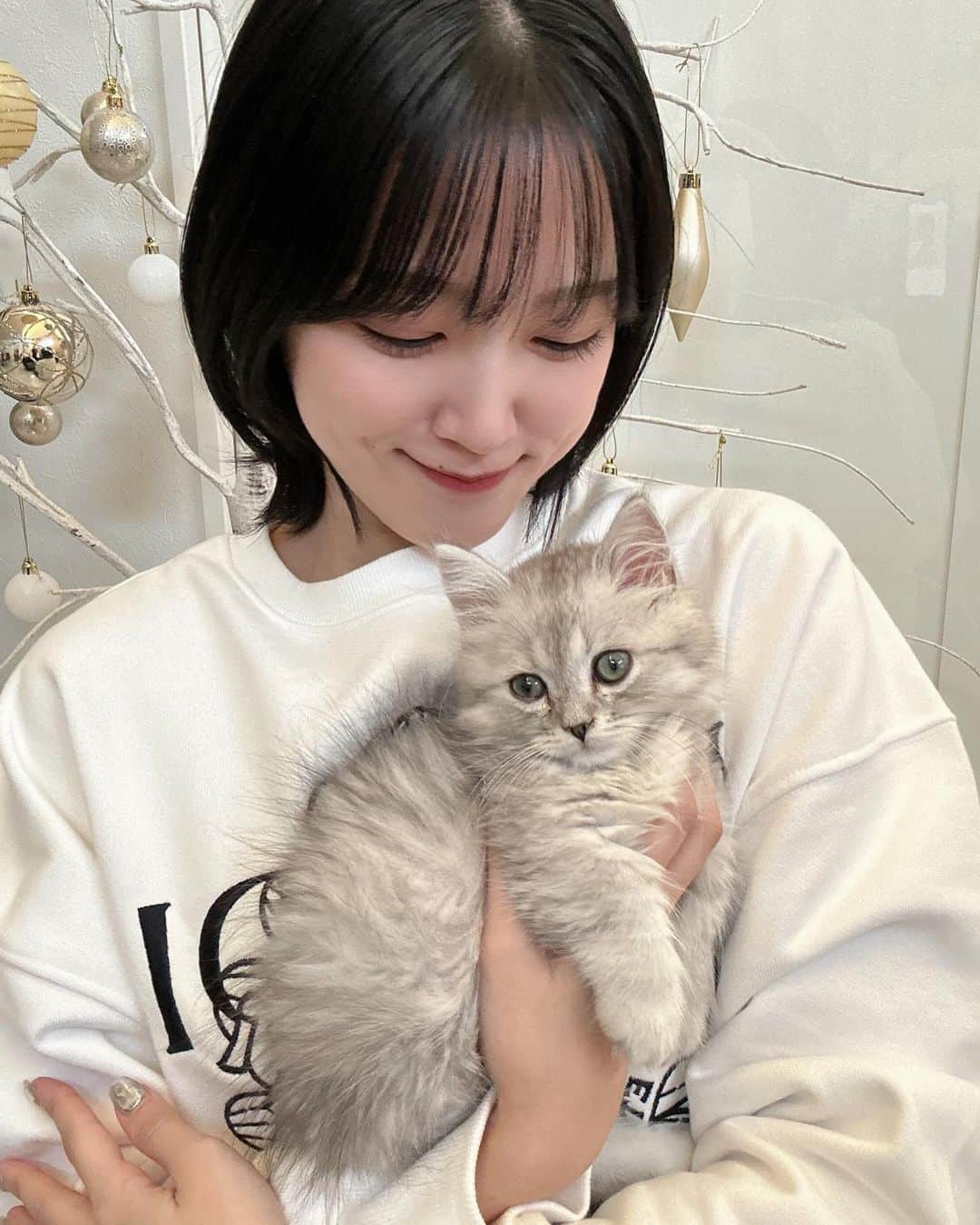 小関舞さんのインスタグラム写真 - (小関舞Instagram)「. 小関家に新しい猫ちゃんがやって来ました！🫶🏻  ミヌエットの男の子 "ライト"くんです⚾️  すごーく元気でやんちゃで、あとあんよが短くて可愛いの🥲 これからこのインスタにもたくさん登場すると思います！  ライトくん！これからよろしくネ〜！！🩵🩵  #新しい家族  #ミヌエット #猫 #子猫  #ライト くん」12月11日 21時59分 - mai_ozeki.official