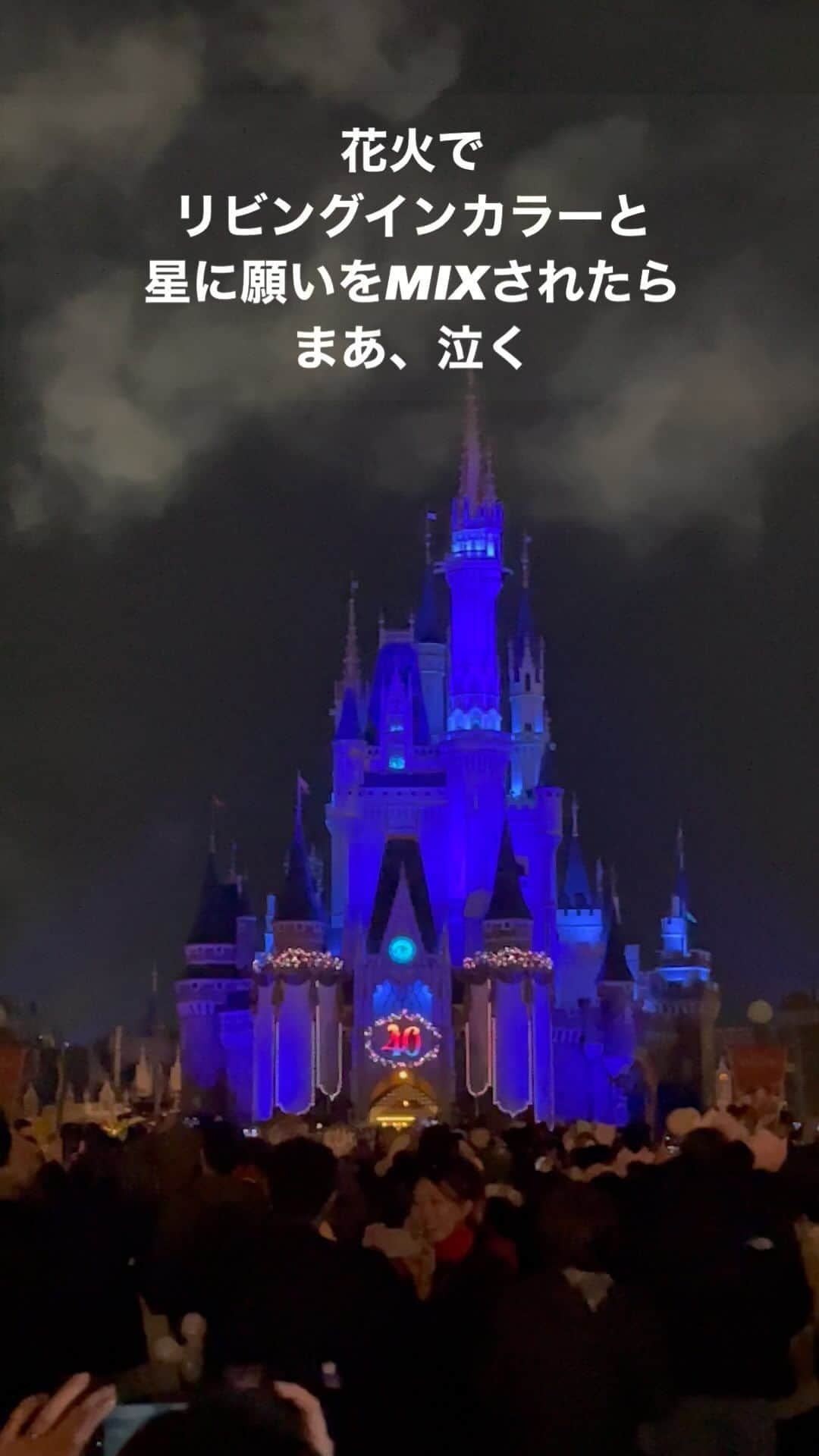 小宮山雄飛のインスタグラム：「#tdr #tdl」