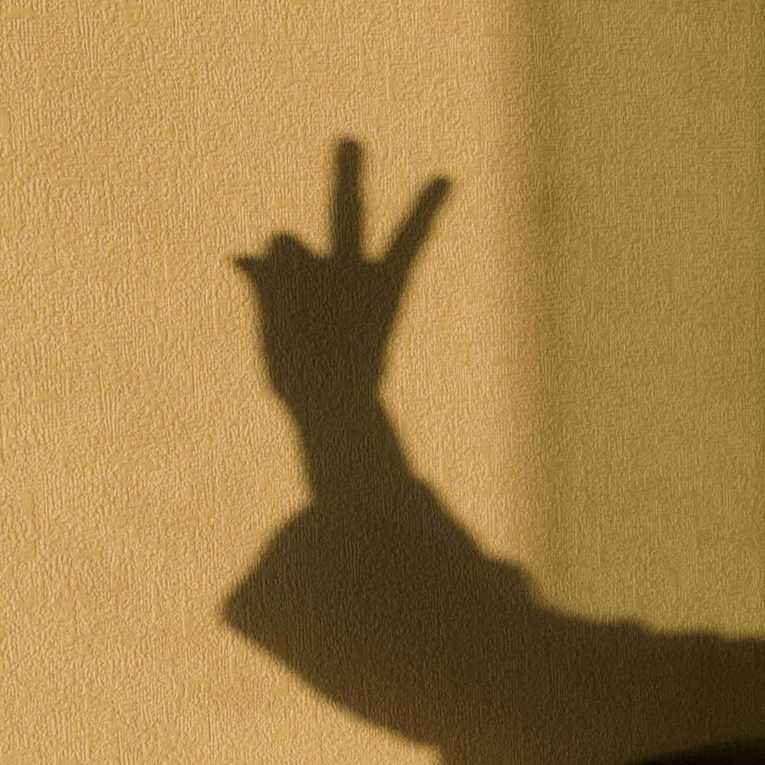 きのこのインスタグラム：「今日もみんな頑張った。 また明日ね、✌️でお休み。」