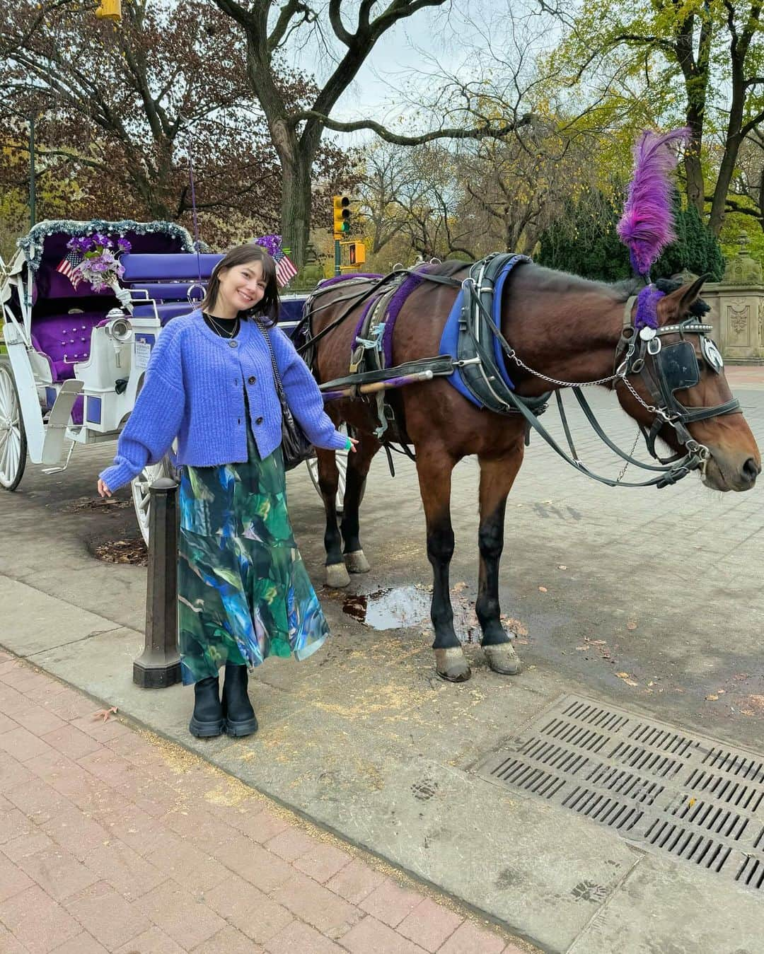 リンさんのインスタグラム写真 - (リンInstagram)「🇺🇸   #NYC  #day3   #centralpark   #americanmuseumofnaturalhistory  #love  #dinosaur    #声優  #Lynn」12月11日 22時59分 - lynn.06.01