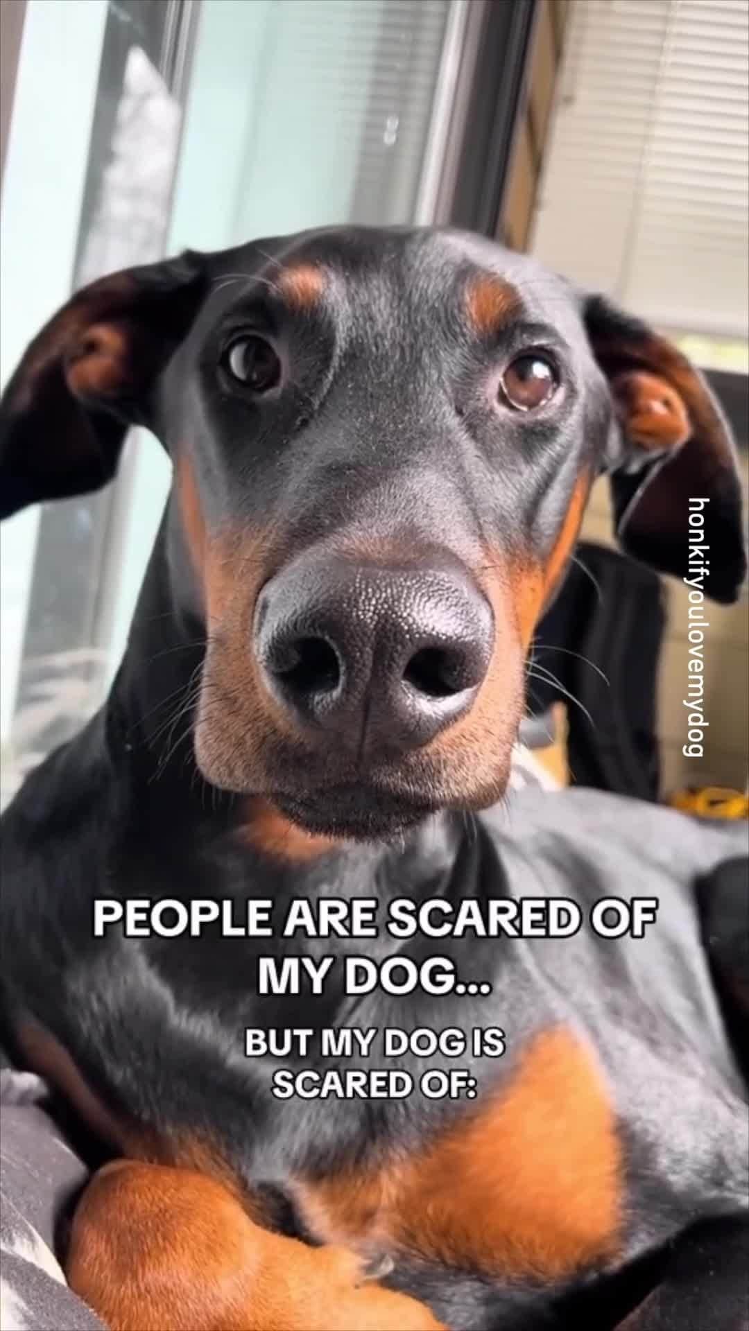 9GAGのインスタグラム