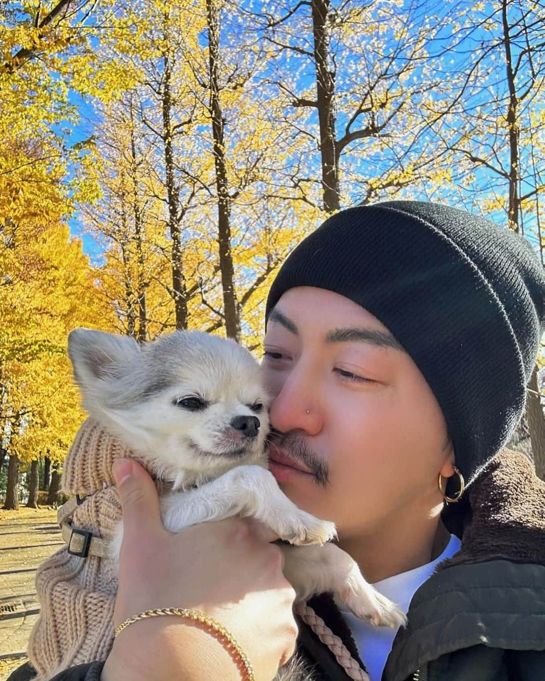 JunJunさんのインスタグラム写真 - (JunJunInstagram)「. 今年もバニラと一緒に🐾🍁🍂💛 今年は抱っこ散歩でバニラ薄目でボーッとしてはった😌 更におばあちゃんになったバニラがとびきり可愛い🥰 （親バカ） 見た事ない表情や行動をしてくれたり新しい発見がまだまだいっぱい😆✨ 毎日ハラハラする事もあるけど毎日バニラと過ごせる日々に感謝ですね👏🏼 去年もこの道を歩いたのを覚えてくれてたのか地面に 降ろした瞬間ここ最近で1番歩いてくれはった🥇🐾💚  #チワワ #おばあちゃん🐾🐶 #16歳10ヶ月🐾 #バニラの日記🐾」12月12日 2時57分 - junjun393