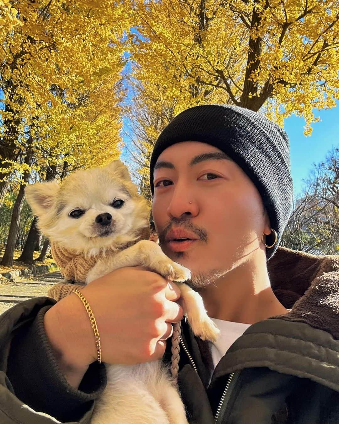 JunJunさんのインスタグラム写真 - (JunJunInstagram)「. 今年もバニラと一緒に🐾🍁🍂💛 今年は抱っこ散歩でバニラ薄目でボーッとしてはった😌 更におばあちゃんになったバニラがとびきり可愛い🥰 （親バカ） 見た事ない表情や行動をしてくれたり新しい発見がまだまだいっぱい😆✨ 毎日ハラハラする事もあるけど毎日バニラと過ごせる日々に感謝ですね👏🏼 去年もこの道を歩いたのを覚えてくれてたのか地面に 降ろした瞬間ここ最近で1番歩いてくれはった🥇🐾💚  #チワワ #おばあちゃん🐾🐶 #16歳10ヶ月🐾 #バニラの日記🐾」12月12日 2時57分 - junjun393