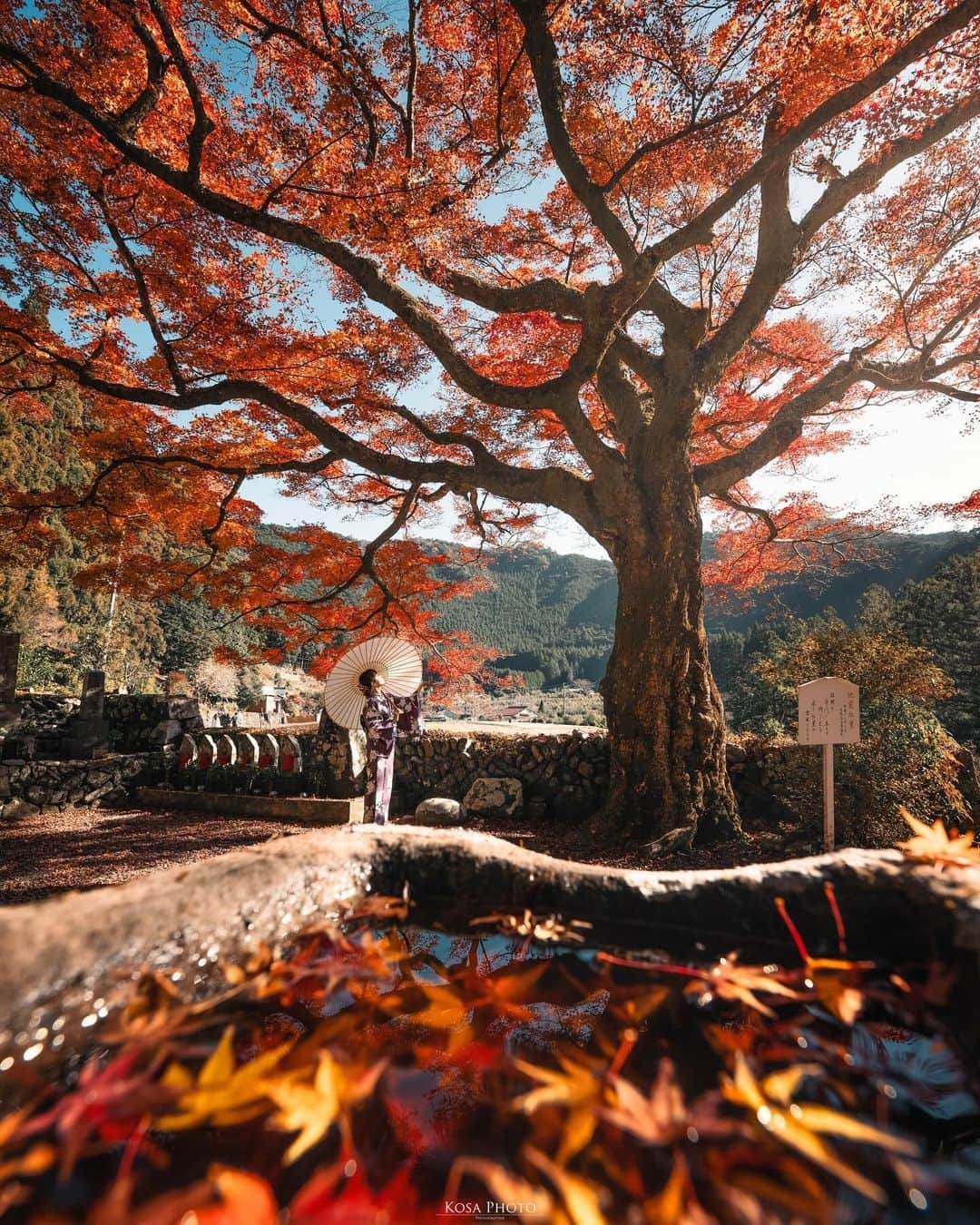 コサさんのインスタグラム写真 - (コサInstagram)「地蔵紅葉で知られる和歌山県の古座川町にある「瀧川寺」の紅葉が、今季最後の紅葉写真になりそうです . Location:和歌山 Wakayama /Japan🇯🇵 Date:2023年12月 Camera:Z9 / Z 14-24mm f2.8 in frame: @chami_2nd . #瀧川寺 #紅葉 #みんすと紅葉祭 #nikoncreators #nikoncreators_2023moment #japancityblues #jp_portrait_collection #ポトレファン倶楽部 #ポトレ撮影隊 #jp_mood #jp_portrait部 #visitwakayama #japan_best_pic #riyets #m_v_shotz #raw_japan #invisible_cool_part #deaf_b_j_ #japan_waphoto #じゃびふる #tokyocameraclub #art_of_japan_ #jgrv_member #team_jp_ #photo_jpn #sorakataphoto #LBJ_KING #mst_vip #広がり同盟メンバー #special_spot_legend」12月12日 7時12分 - kosa_photo