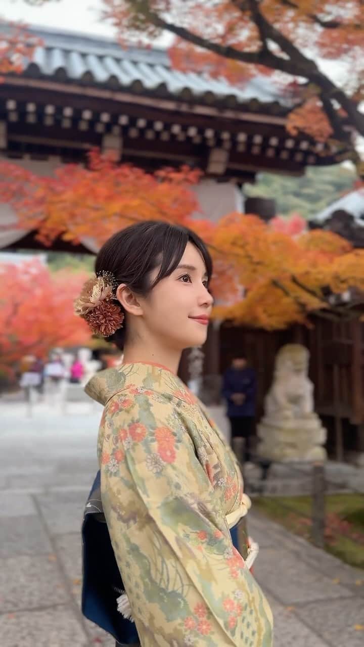 道重佐保のインスタグラム：「リールにしてみたよ🍁🍂  #japaneseculture #kimono #wa #wafuku #kyoto  #japanesekimono #和 #和装 #和服 #京都 #京都紅葉 #永観堂  #紅葉 #autumn #autumnvibes #autumvibes🍁 #autumleaves #🍁 #iphone撮影 #シネマティック  #portrait #japanesegirl #ig_japan #followme #ootd #日本的 #道重佐保 #michishigesaho」