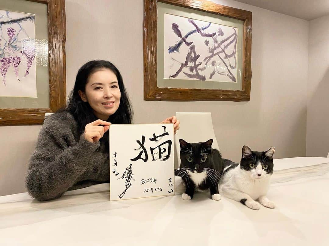 藤あや子のインスタグラム：「はい、そうです、、 今年もです🐾  #今年の漢字 #猫 #5年連続5回目  #マルオレ」