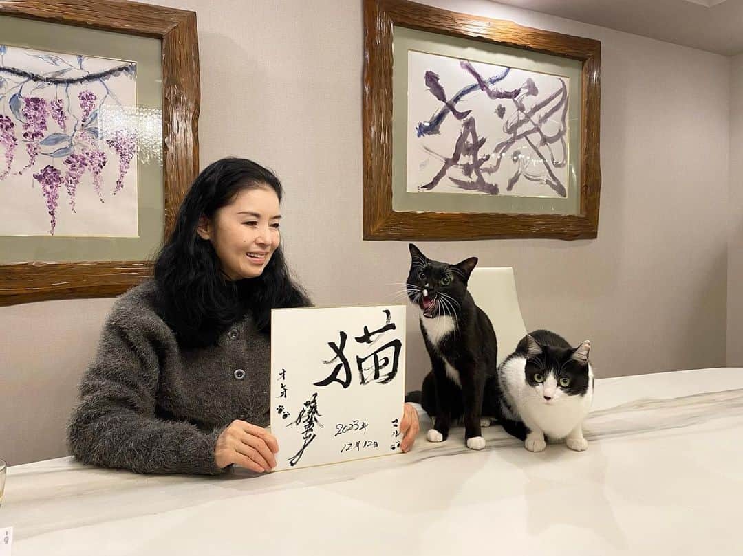 藤あや子さんのインスタグラム写真 - (藤あや子Instagram)「はい、そうです、、 今年もです🐾  #今年の漢字 #猫 #5年連続5回目  #マルオレ」12月12日 19時31分 - ayako_fuji_official