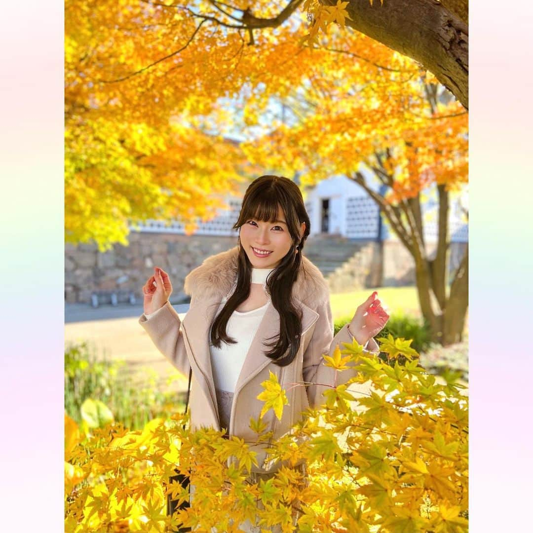 長柄ひろみさんのインスタグラム写真 - (長柄ひろみInstagram)「#Autumnleaves 🍁  紅葉狩りリベンジしてきたよ🤗🍁  数日なのに、この前紅葉していた所がもう枯葉になっていたり、全然紅葉していなかった所が見頃になっていたり、季節の移り変わりを感じました😌🍂  前回は黄色い紅葉が多かったので、今回は赤系の紅葉を中心に探してきました！ 1枚目黄色だけど😂💛 赤い紅葉もやっぱり綺麗🥰 紅葉狩りリベンジ成功🍁❤️  今日は今年の漢字が発表されましたね！ 今年の漢字は「税」 私の予想は「虎」だったんですが4位でした🐯🏅 皆さんの予想は当たりましたか？？  大切なことなんですが、「税」て聞くとなんだか一気に現実に戻される感じがしますね😖  ｡・ﾟ・。𖧷｡・ﾟ・。𖦞｡・ﾟ・。𖧷｡・ﾟ・｡𖦞。・ﾟ・。  #紅葉狩り」12月12日 19時24分 - aoi_asahi