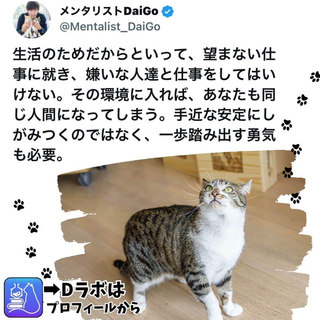 メンタリストDaiGoさんのインスタグラム写真 - (メンタリストDaiGoInstagram)「🐈本日の名言📚 プロフィールからDラボもみてね  #心理学 #メンタリスト #dラボ  #dラボはプロフィールから」12月12日 18時00分 - mentalistdaigo