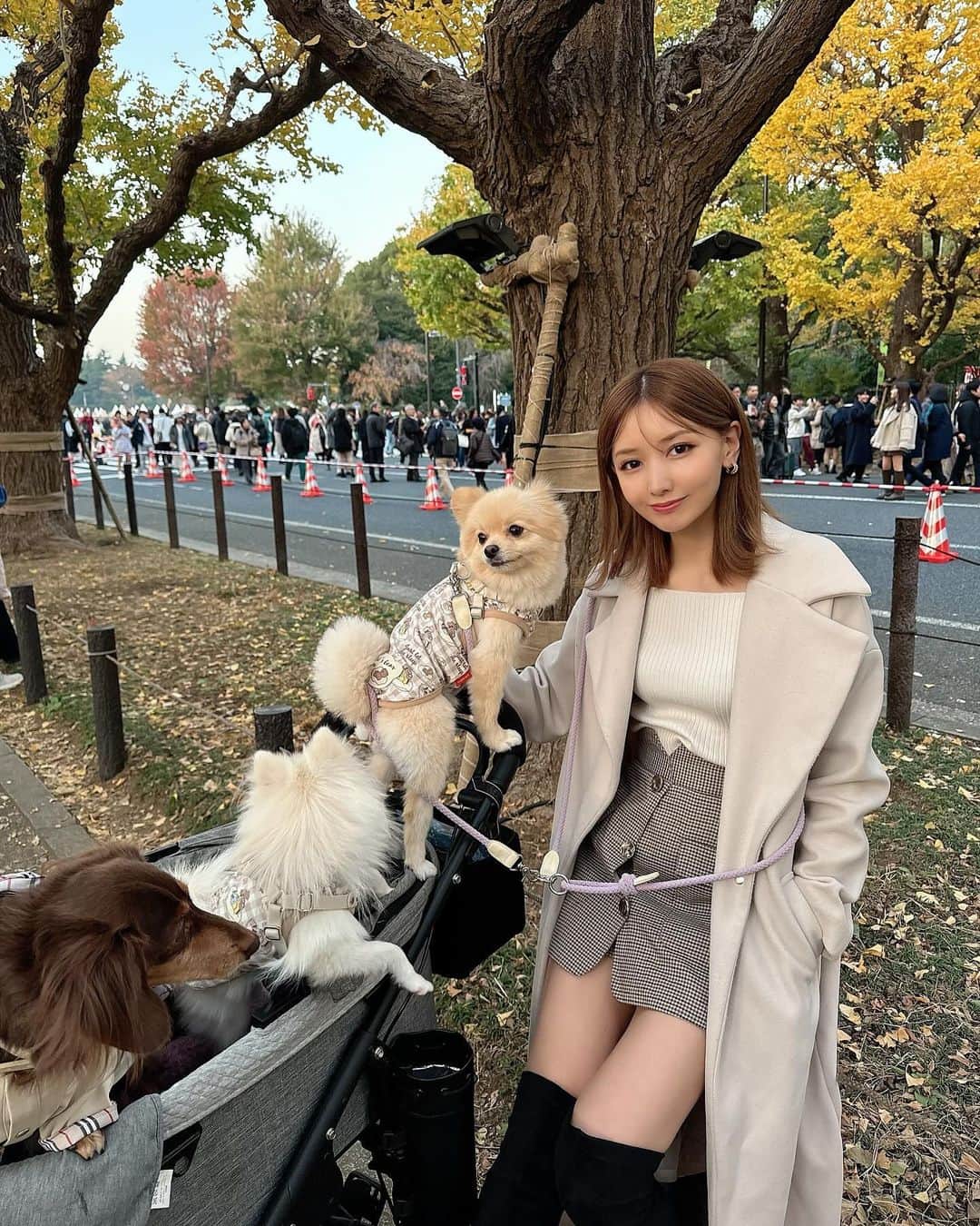 airiさんのインスタグラム写真 - (airiInstagram)「⁡ 犬アカには載せない方のセルフィー 今年はイチョウ並木写真大量🤎🤎  #⁡イチョウ #イチョウ並木 #神宮外苑 #神宮外苑いちょう並木 #紅葉 #秋 #紅葉スポット #紅葉狩り #紅葉シーズン」12月12日 18時20分 - airigram131