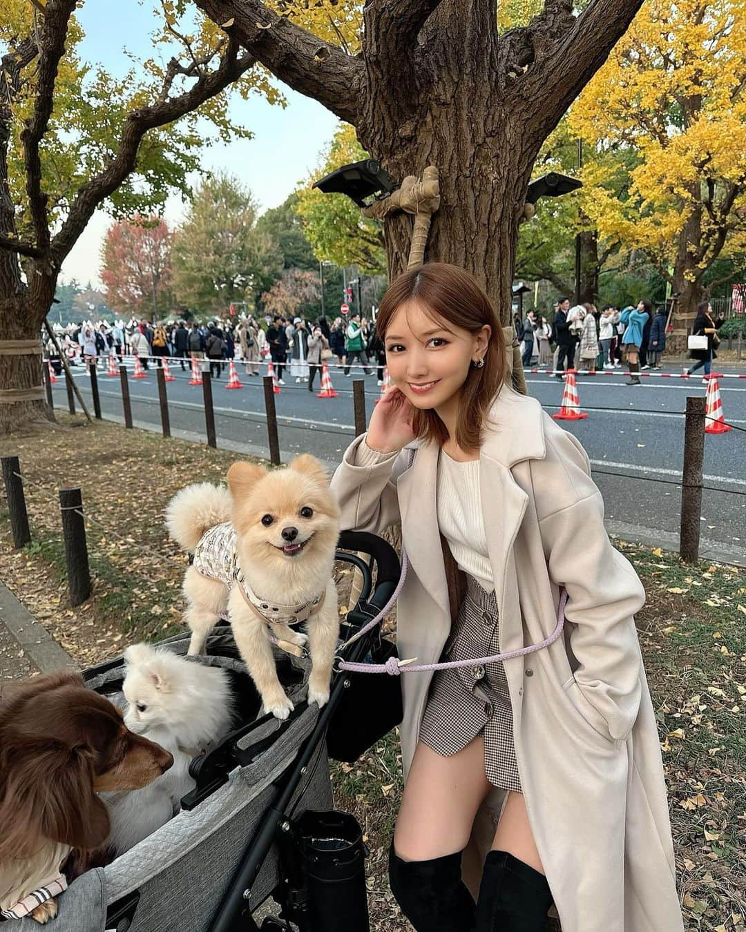 airiさんのインスタグラム写真 - (airiInstagram)「⁡ 犬アカには載せない方のセルフィー 今年はイチョウ並木写真大量🤎🤎  #⁡イチョウ #イチョウ並木 #神宮外苑 #神宮外苑いちょう並木 #紅葉 #秋 #紅葉スポット #紅葉狩り #紅葉シーズン」12月12日 18時20分 - airigram131