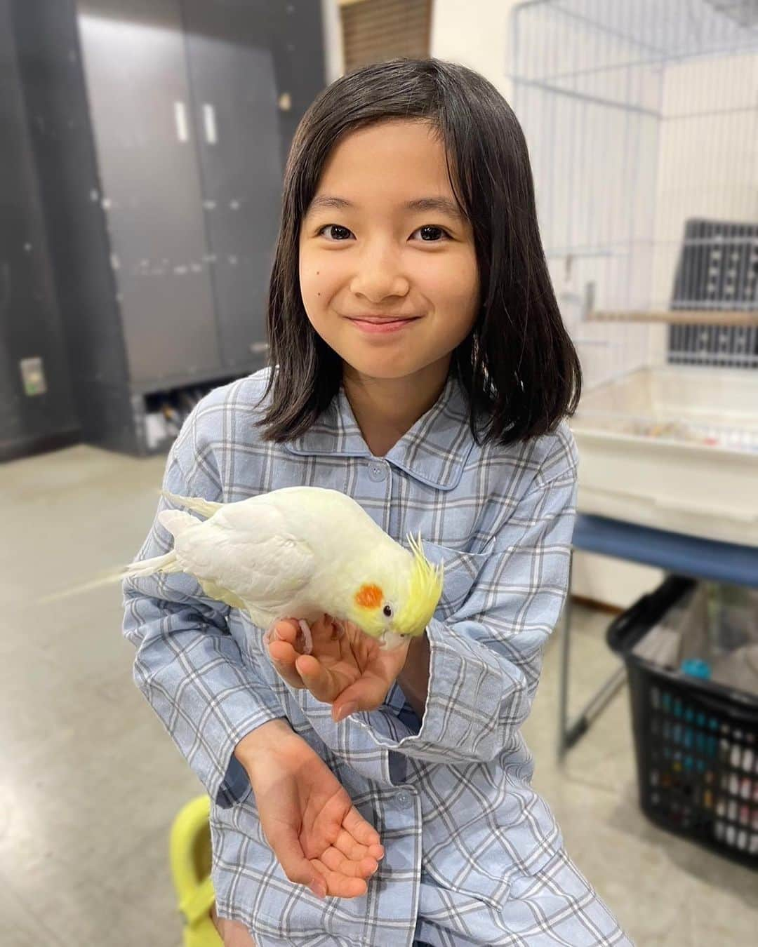 白山乃愛さんのインスタグラム写真 - (白山乃愛Instagram)「.  みんなの癒し、セバスチャン🦜 カゴに手を入れると「なでて〜」って首を傾けてくるのが可愛すぎです🥰  🧵ゆりあ先生の赤い糸🧵 最終話放送まであと2日。  乃愛」12月12日 18時56分 - noa_shiroyama_official