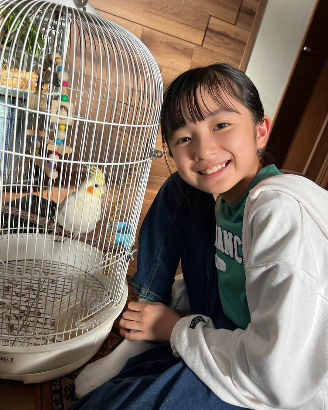 白山乃愛のインスタグラム：「.  みんなの癒し、セバスチャン🦜 カゴに手を入れると「なでて〜」って首を傾けてくるのが可愛すぎです🥰  🧵ゆりあ先生の赤い糸🧵 最終話放送まであと2日。  乃愛」