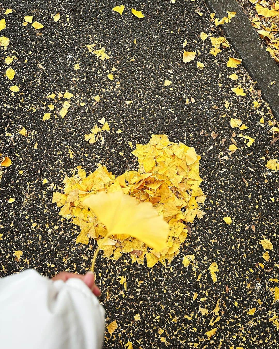 明日花リナのインスタグラム：「💛🪽」