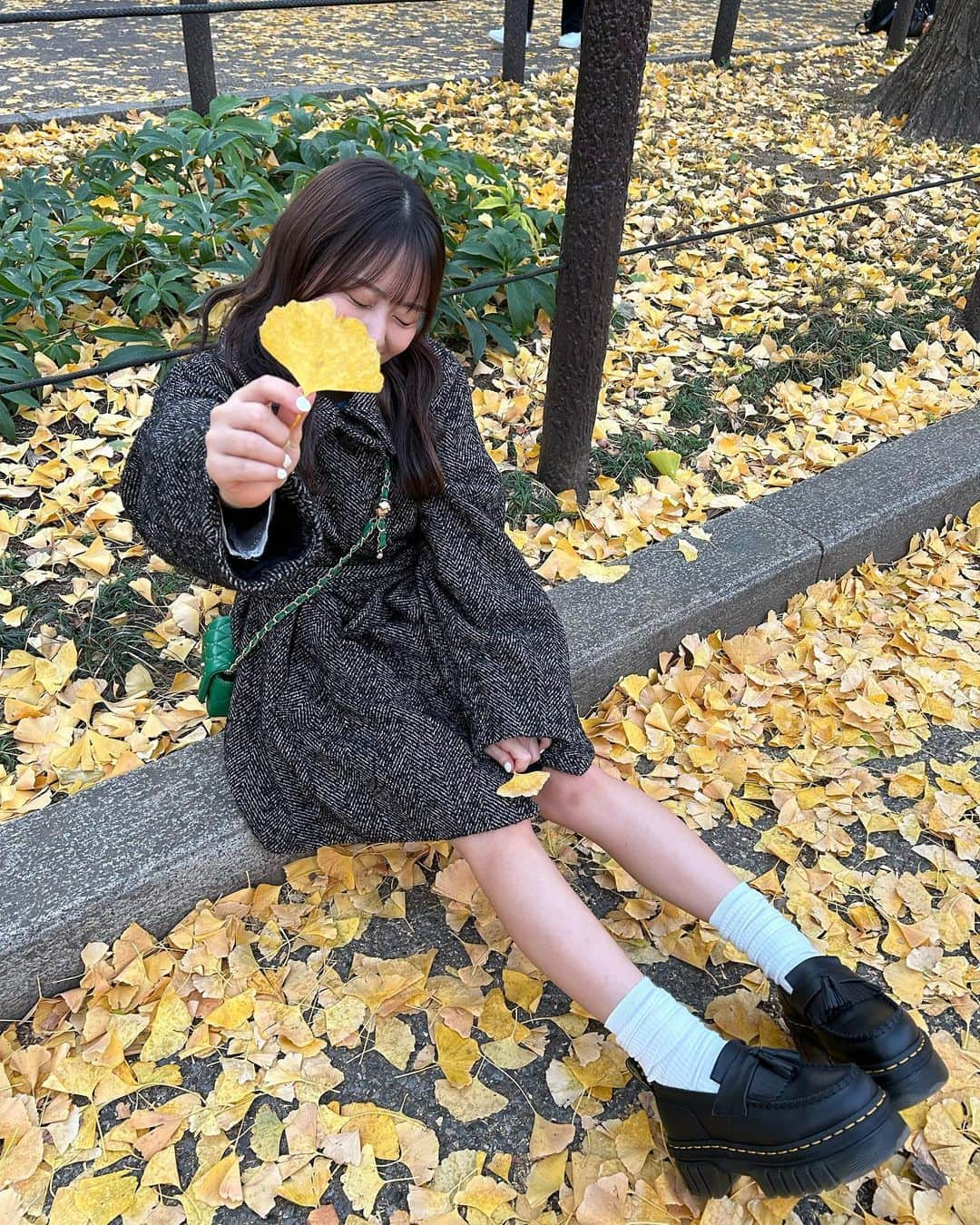 島崎友莉亜さんのインスタグラム写真 - (島崎友莉亜Instagram)「🦊🍁  #銀杏並木」12月12日 11時42分 - yuria_shimazaki_uug2ki