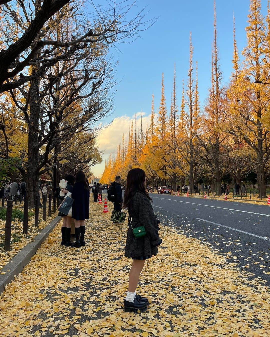 島崎友莉亜さんのインスタグラム写真 - (島崎友莉亜Instagram)「🦊🍁  #銀杏並木」12月12日 11時42分 - yuria_shimazaki_uug2ki