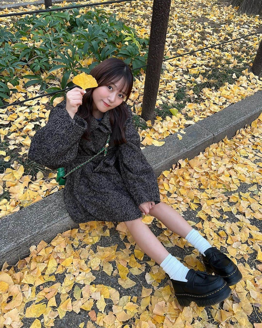 島崎友莉亜のインスタグラム：「🦊🍁  #銀杏並木」