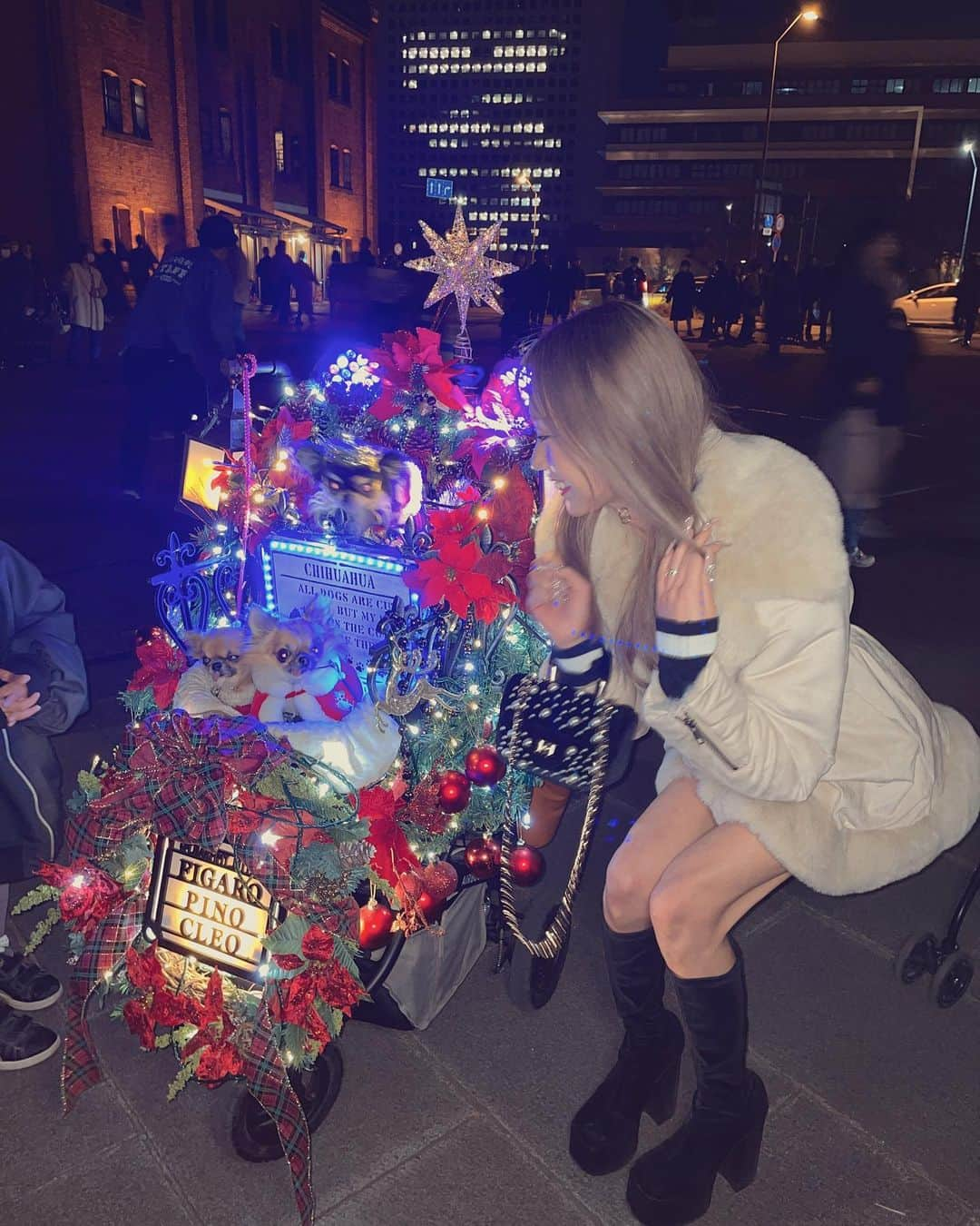 RIIAさんのインスタグラム写真 - (RIIAInstagram)「人生初ゴンドラ🚠 横浜のクリスマスの夜はキラキラしてて綺麗すぎたっ🎄 ワンちゃんのベビーカーまでキラキラ🤩💓笑笑 クリスマスマーケットは人が多すぎて断念したけど、その分他の景色見れたよ🥺✨」12月12日 11時43分 - airi21202