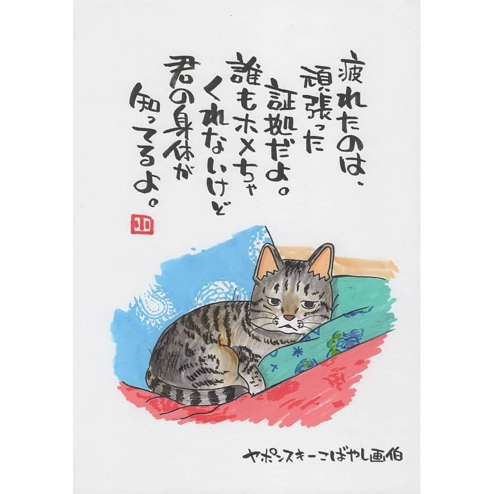 ヤポンスキーこばやし画伯さんのインスタグラム写真 - (ヤポンスキーこばやし画伯Instagram)「けもの日和 今日は鍛治谷さん家の猫です。 名前などは分かりませんが 既に虹の橋を渡っている子だそうです。 この顔を見れば 幸せな生涯だったことが想像できますね。 かわいいお写真ありがとうございます。  イラスト #ポエム  #イラストエッセイ #エッセイ #ヤポンスキー #ヤポンスキーこばやし画伯 #こばやし画伯 #芸人 #絵 #ポストカード #詩 #アート #言葉 #言葉の力 #人生 #生き方 #イラストグラム #イラストレーター #つぶやき #可愛い #前向き #ポジティブ #癒し #名言 #格言 #けもの日和」12月12日 11時58分 - kobayashigahaku