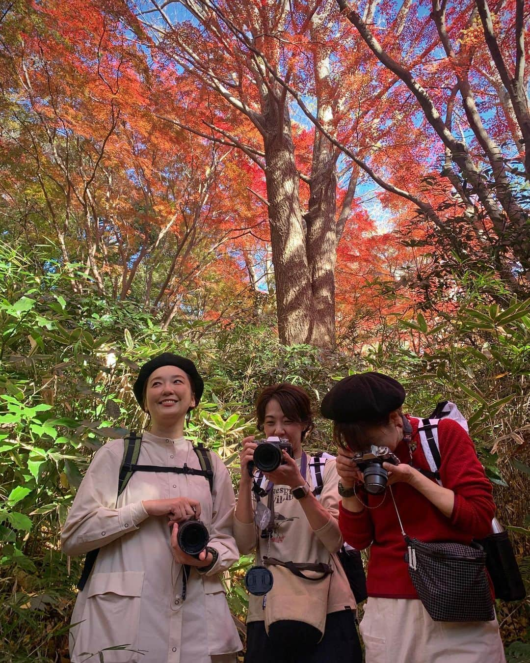 仲川希良さんのインスタグラム写真 - (仲川希良Instagram)「Advent2023🌲7 ・ 8日は鎌倉へ 四角友里さんのアテンドで KUKKA party の皆さんと一緒に 獅子舞の谷の紅葉を堪能してきました ・ 「ここは色付くと最高」と何度も耳にしていた獅子舞 友里さんのおかげで最高のタイミングで歩くことができました 鎌倉の紅葉は12月なんですねぇ ・ ・ チラチラと揺れる小さなモミジが集まって色とりどりのスクリーンになり それが幾重にも重なって新たな色を生み 降り注ぐ光を浴びた自分までその色に包まれる ・ 差し込まれる木の影の模様も美しいアクセントでした ・ ・ 見上げ続けて 縮こまった体がいつの間にやらほぐされたな ・ ・ ・ KUKKA partyは山登りを楽しむ方を応援するコミュニティ @kukka_moi  今回はカメラ好きな方が多く("写ルンです"をお持ちの方も！) 小さな谷を撮影しながら たっぷり1時間かけて登ることができて嬉しかったです ・ 私の写真は友里さん @yuri_yosumi が撮ってくれました♡ ・ ・ #登山 #トレッキング #ハイキング #山旅 #鎌倉 #紅葉 #獅子舞の谷」12月12日 12時33分 - kiranakagawa