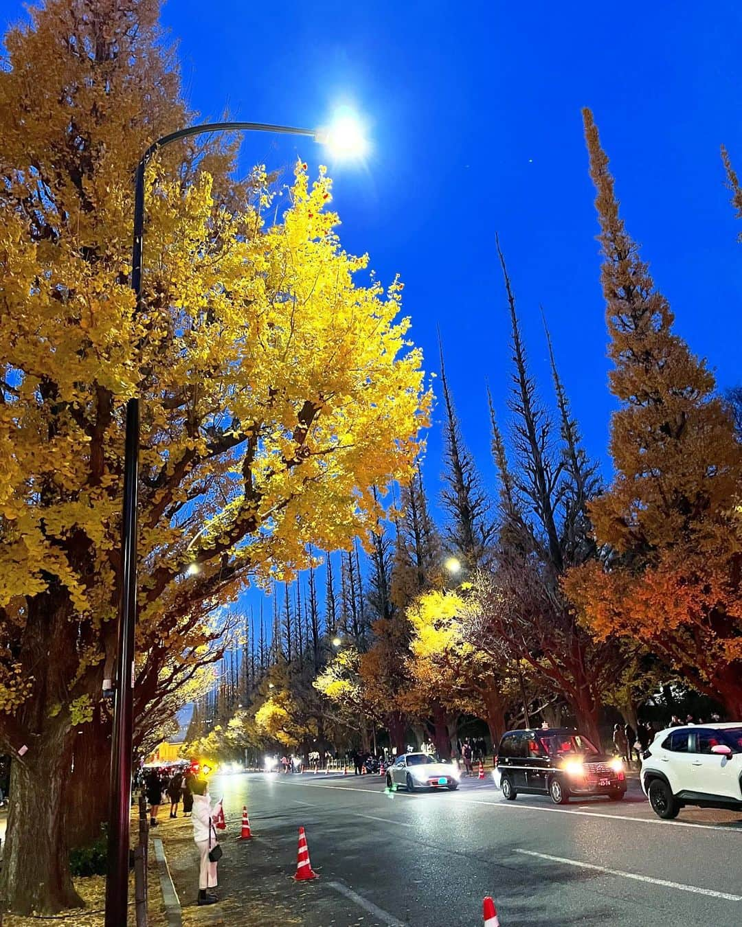 得あゆのインスタグラム：「遅めの秋🍁外苑前イチョウ並木  #tokyo#外苑前#イチョウ並木#外苑前いちょう並木#神宮外苑いちょう並木#いちょう並木#いちょう#紅葉#紅葉スポット#夜散歩  ・ ・ ・ ・ ・ ・ ・ ・ ・ ・ ・ ・ ・ ・ #表参道イルミネーション#イルミネーション#東京観光 #東京旅行#家族旅行#落ち葉#年内ラスト#インスタ映え#映え#映えスポット#子育てママ#2歳児#2歳#2歳ごはん#息子#息子とデート#大喜び#年末旅行#散歩#外苑前カフェ」