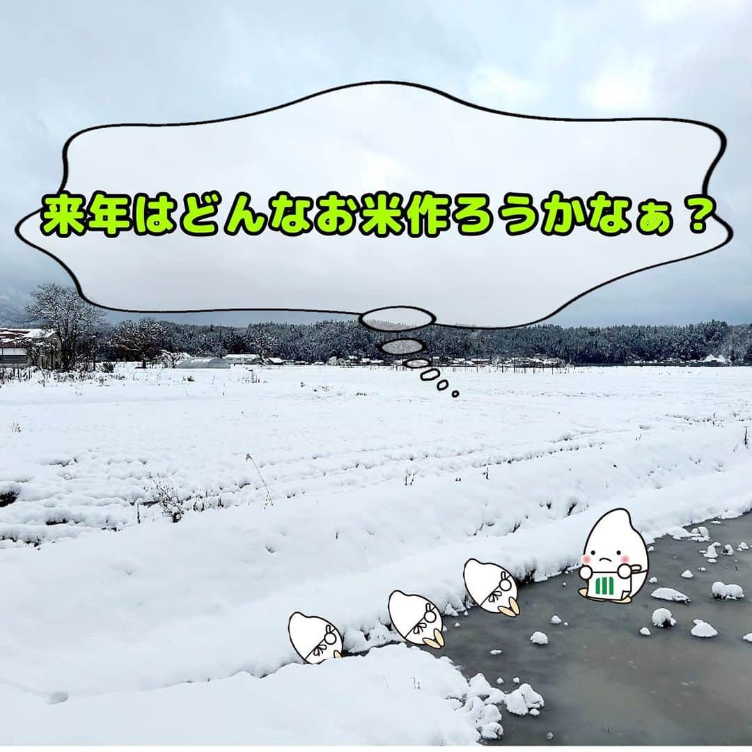 ミツハシくん-Mitsuhashi Rice-さんのインスタグラム写真 - (ミツハシくん-Mitsuhashi Rice-Instagram)「. 山形県の生産者さんのところに行ってきたよ✨  12月になってから一気に冬が来たね！  田んぼは雪に埋もれてたよ⛄ とても寒かった～❄  この時期の生産者の皆さんは何をしてるんだろう？ 実は… 来年度にどんなお米を作るか、 計画を立てているんだ💡 もう6年産のお米の事を考えているんだね😳  今年もおいしいお米を作ってくれて、 ありがとう。💓 と感謝の気持ちを忘れずに、 今年残り僅かの時間を過ごそう🍙  そして、来年もまた、 おいしいお米がたくさんできるといいな～ 🌾 . #ミツハシライス  #企業キャラクター  #ミツハシくん   #山形県  #田んぼ  #生産者  #農家  #米作り  #農作業   #米 #お米 #稲  #ご飯 #ごはん」12月12日 17時40分 - 3284rice
