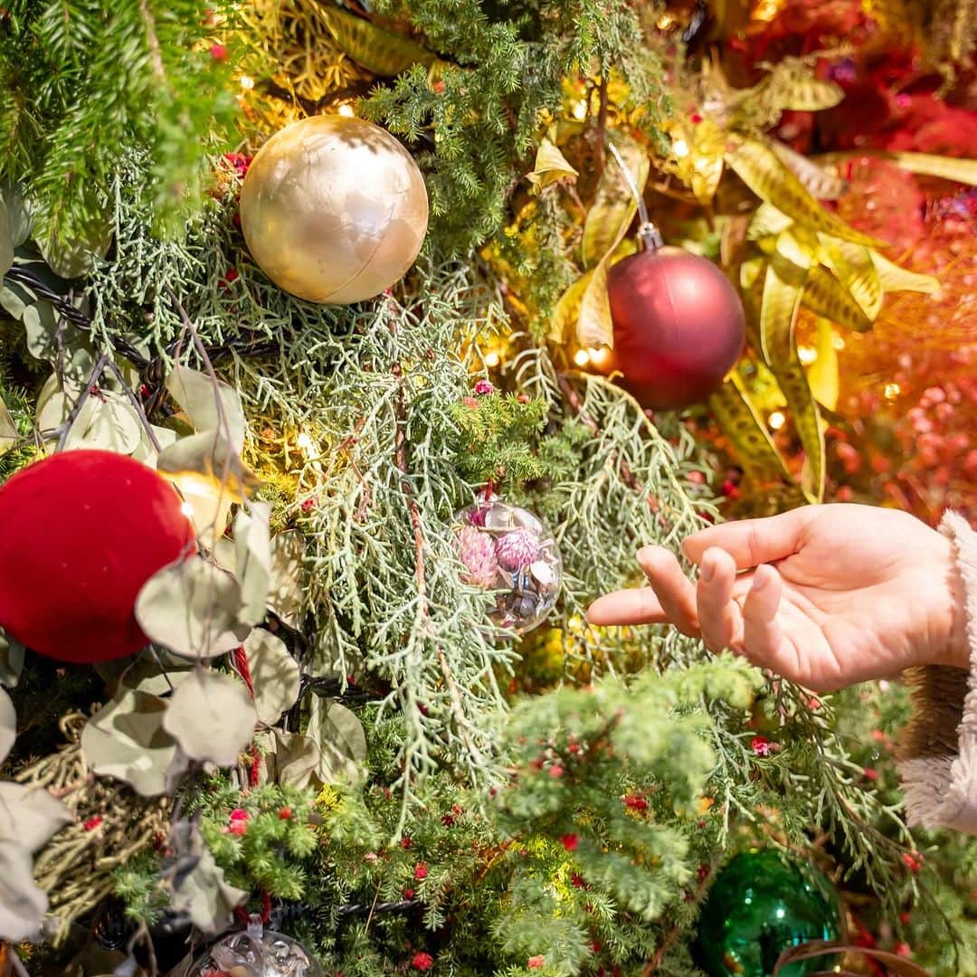 東京プリンスホテルさんのインスタグラム写真 - (東京プリンスホテルInstagram)「"“Your Precious Christmas”がテーマの東京プリンスホテルのクリスマスツリー。 ロスフラワー®を使用した、サステナブルなクリスマスデコレーションがみなさまをお迎えいたします🎄  This season, Tokyo Prince Hotel welcomes guests with a grand, beautifully decorated Christmas tree, tastefully bedecked in sustainable floral ornaments from Ross Flower® 🎄   Share your own images with us by tagging @tokyoprincehotel  —————————————————————  #東京プリンスホテル #ロスフラワー #SDGs #ホテルクリスマスツリー #tokyoprincehotel #sustainable」12月12日 19時44分 - tokyoprincehotel