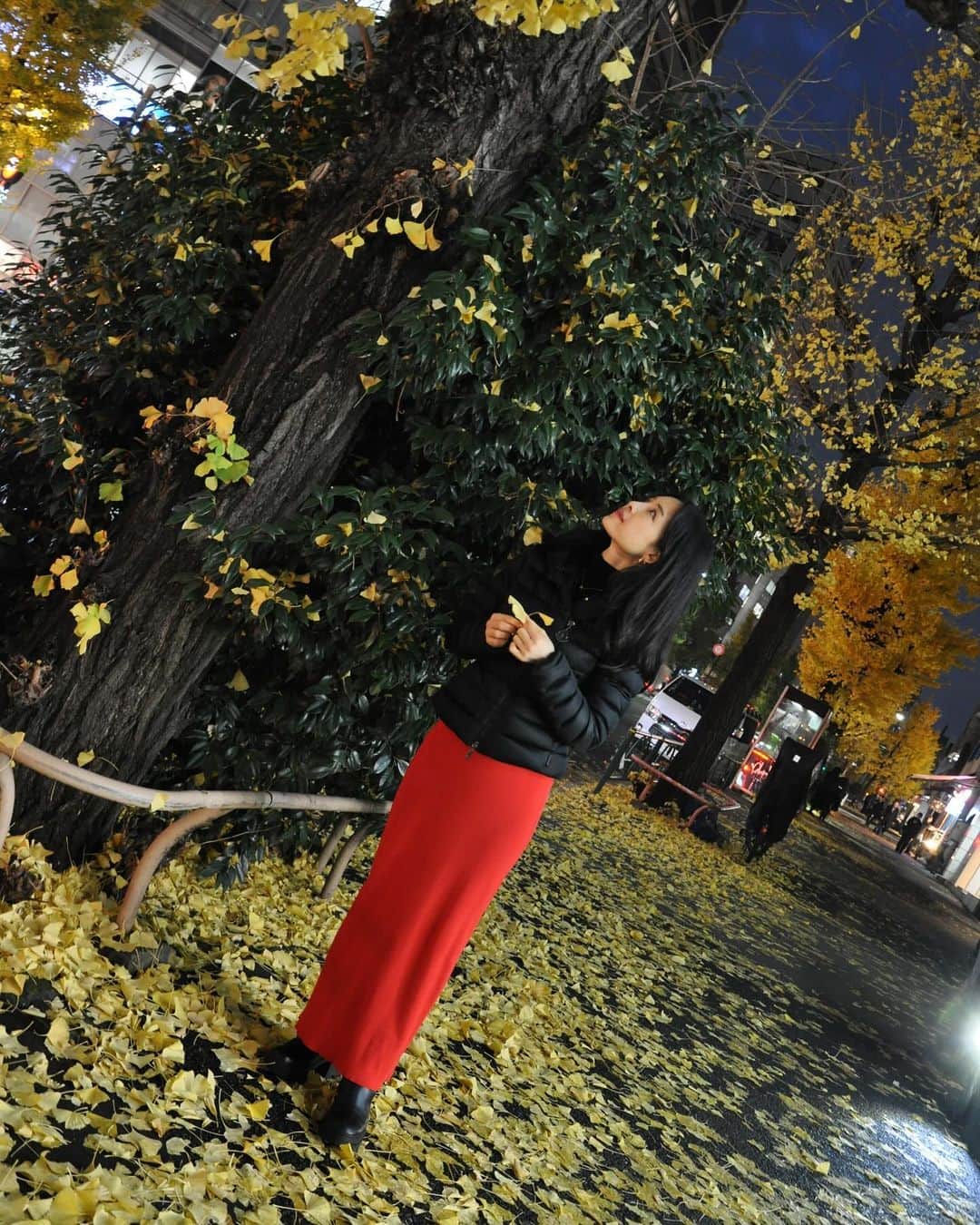 中岡由佳のインスタグラム：「❇︎ 黄色い絨毯の季節。  #winter  #tokyo  #japan #nikon  #nofilter」