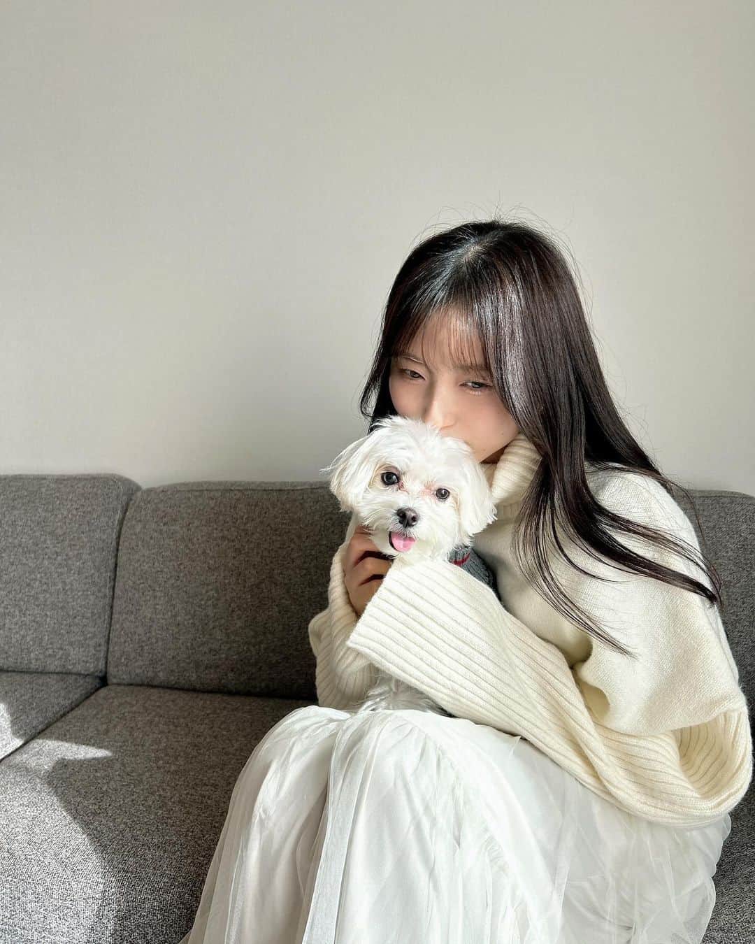 中野優香さんのインスタグラム写真 - (中野優香Instagram)「一足早くお家でクリスマスパーティー🎄  みんなでプレゼント交換して楽しかったなぁ🥹  ごてんさんは人間が大好きなので友達がお家に来てくれて幸せそうでした😇🐾  #クリスマス#クリスマスパーティー#クリパ」12月12日 20時05分 - yuuka._.nakano