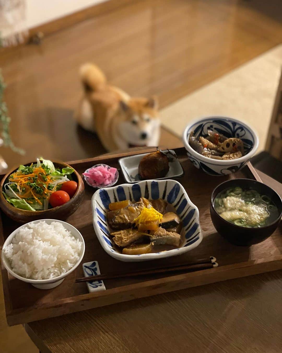 柴犬小雨さんのインスタグラム写真 - (柴犬小雨Instagram)「・ 今夜のおふたりさん ・ ・ ・ #shiba_snap #shibamania #petstagram #dog  #shibadog #petstagram #pet #shiba #shibainu #shibaaaaainu #shibastagram #pecoいぬ部 #dogstagram #子犬#仔犬#狗 #犬のいる暮らし #犬のいる生活 #こいぬ#いぬのきもち #豆柴#まめしば#しばいぬ #9gag #しばけん #ペット#小狗#柴犬#犬#柴犬小雨#シバイヌ」12月12日 20時58分 - fuji_jun1205
