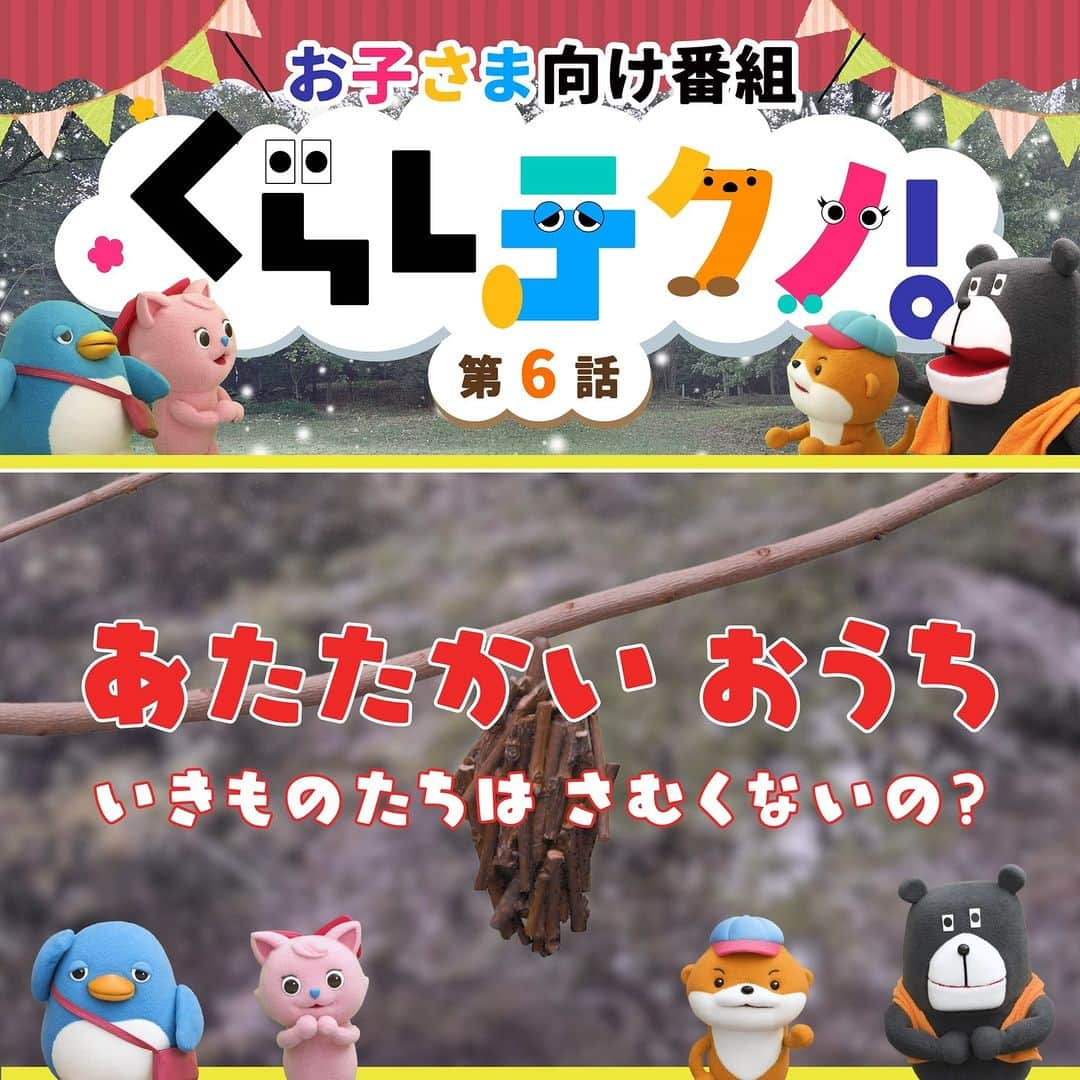 株式会社 一条工務店のインスタグラム：「【子ども向け番組🐻「くらしテクノ」第６話を配信中！】  第６話のテーマは「あたたかい　おうち」。 森の公園で、ふってきた雪に大はしゃぎの３人。空を見上げたかわっちが木の枝にくっついてブラブラしているフシギなものを見つけました。「へぇ～！これは、みのむしって言うんだね！あっちの木にはリスもいるぞ！」でも、森に住んでいるいきものたちは、さむくないのかな？？そのヒミツ、教えて！ジョーくん！  🐻🏠🐻🏠🐻🏠🐻🏠🐻🏠🐻🏠🐻🏠🐻🏠🐻🏠🐻🏠  ジョーくんたちの物語の他にも、文字と言葉を教えてくれる「もじざむらい」をはじめ、クイズや歌、ダンスなど楽しいコーナーが盛りだくさん！くらしテクノは子どもたちの好奇心や考えていく力を育み、「てくてく」と自分で歩みだしたくなる。そんなYouTube番組です。  番組監修は、「こどもちゃれんじ」(ベネッセ) の「考える力」プログラム、幼児教育番組「しまじろうのわお！」（テレビ東京系列）、ハッピーセット(日本マクドナルド) の玩具を監修の沢井 佳子氏（一般社団法人日本こども成育協会）。  第６話はハイライト「くらしテクノ」から！  #くらしテクノ #保育園 #幼稚園 #幼児教育 #教育番組 #育児 #知育 #子供と遊ぶ #子育て #親子 #木の家 #暖かい家 #木造 #2才 #2歳 #3才 #3歳 #4才 #4歳 #5才 #5歳 #ジョーくん #クマ #かわっち #カワウソ #みいにゃん #ネコ #ぺんまる #ペンギン #一条工務店」