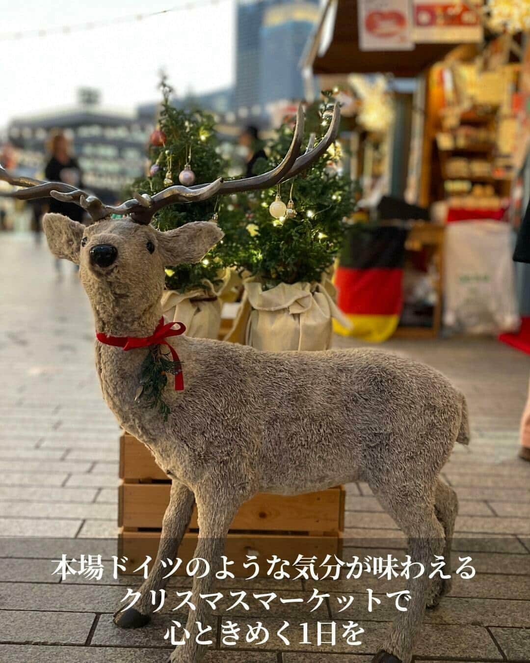 オズモール編集部さんのインスタグラム写真 - (オズモール編集部Instagram)「【過去最大規模！🎄横浜赤レンガ倉庫のクリスマスマーケット】  ⚓異国情緒あふれる横浜に、本場ドイツさながらのクリスマスマーケットが横浜赤レンガ倉庫に登場🎅 きらきらと輝くクリスマスオーナメントや、グリューワインなどクリスマスならではのアイテムやフード・ドリンクがたくさん！ 今年は貸し切りできる、ロマンティックでフォトジェニックなプレミアムラウンジも（要予約）✨  🎄クリスマス気分に浸れる空間で、横浜さんぽを楽しんで🔔  開催期間／〜12月25日（月） 入場料／500円（小学生以下は無料） ※横浜赤レンガ倉庫イベント公式アプリ会員は300円  ・・・・・・・・・・・・・・・・・・・・・・・・・ @ozmall_editors　@yokohamaredbrick　#オズモール　＃ozmall #クリスマスマーケット　#クリスマスツリーハント ＃横浜赤レンガ倉庫　＃クリスマス　＃スイーツ　＃赤レンガ　#横浜　＃みなとみらい　＃クリスマス　＃クリスマスツリー　＃イルミネーション」12月12日 21時01分 - ozmall_editors