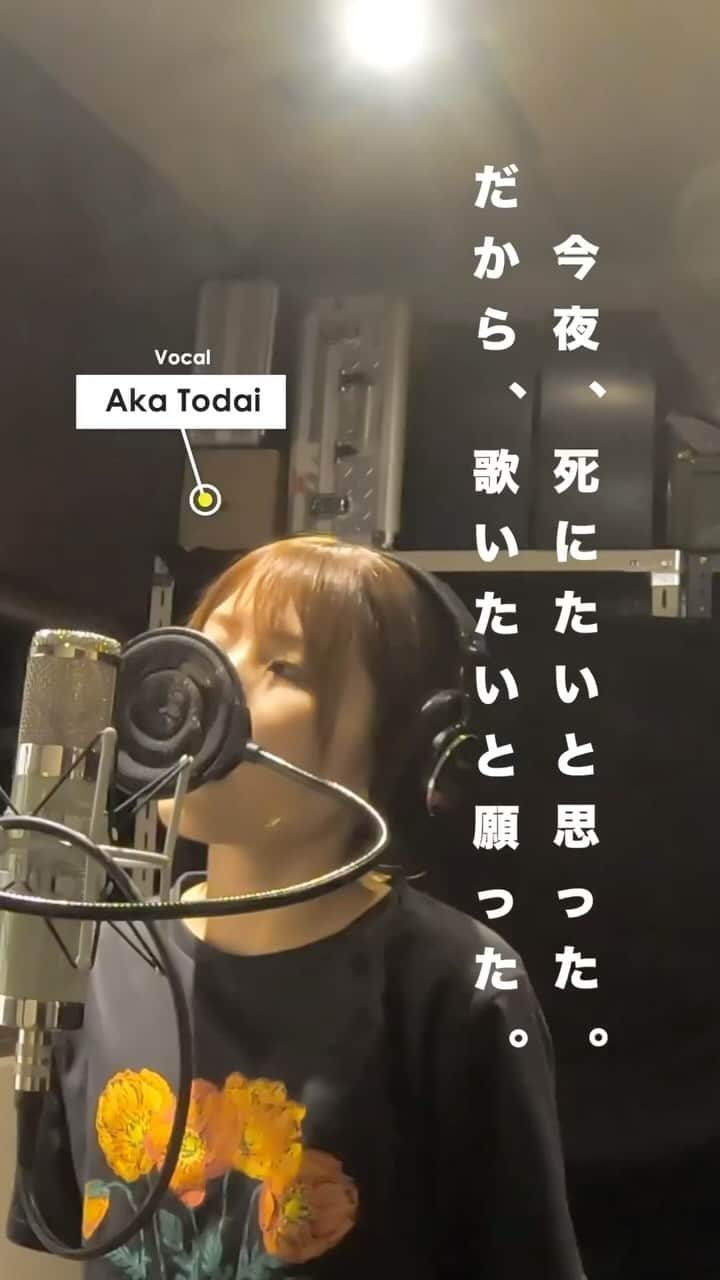 灯橙あかのインスタグラム：「楽曲「今夜、死にたいと思った。 だから、歌いたいと願った。」の 楽器隊本番Rec.とボーカル仮Rec.の映像を 編集してみました🎥 私のiphone12、頑張ってます！！ . . . 作詞作曲ボーカル  灯橙(とうだい)あか ピアノ、アレンジ @jun_abe_jun_abe  ギター @makoto_irie_gt  ベース @kenteamusic  ドラム  宮川剛 . #シンガーソングライター #セルフィー  #灯橙あか #小説 #オトトモジ  #ギター #ピアノ #ドラム #ベース」