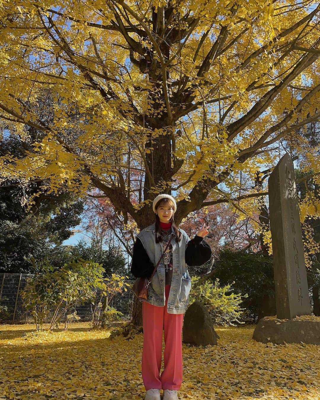 山岸理子さんのインスタグラム写真 - (山岸理子Instagram)「* ➰🍂🍁 ⁡ まだ紅葉みっけた👀そして、魚釣れたよ🎣 ⁡  #山岸理子」12月12日 21時42分 - riko_yamagishi.official