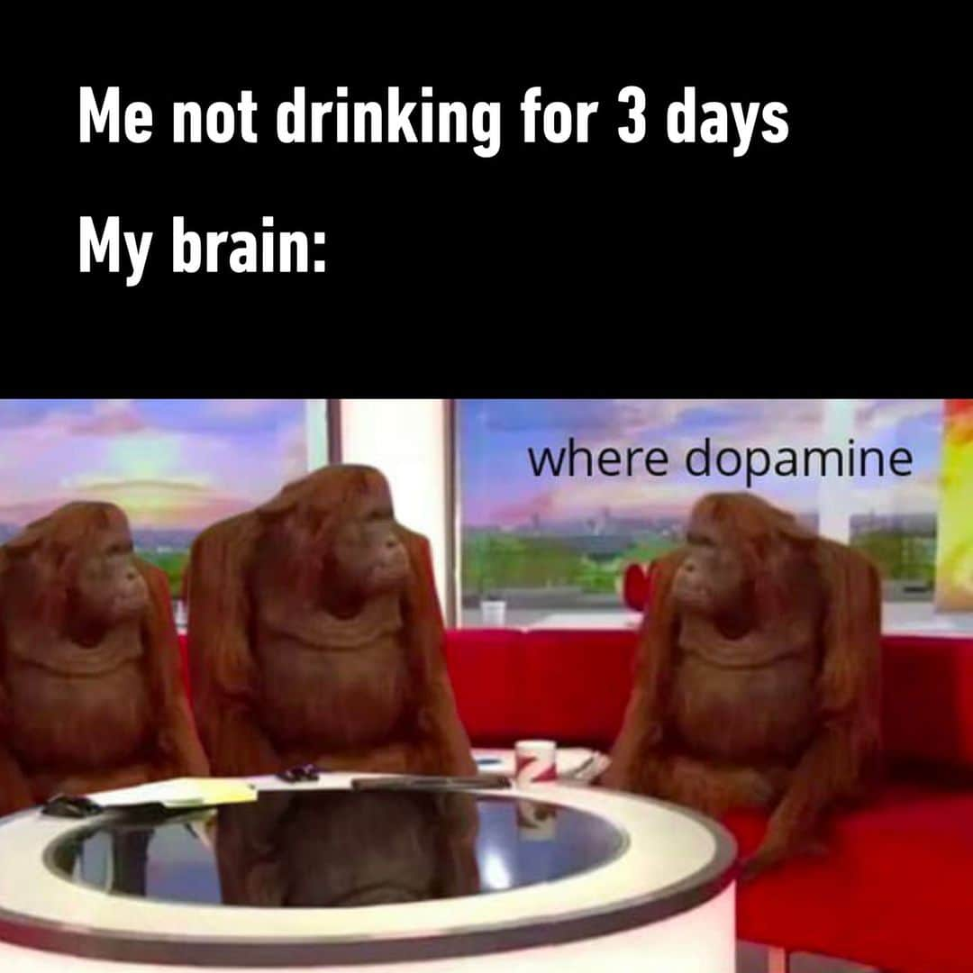 9GAGのインスタグラム：「dopamine not found now I'm depressed - #memes #9gag」